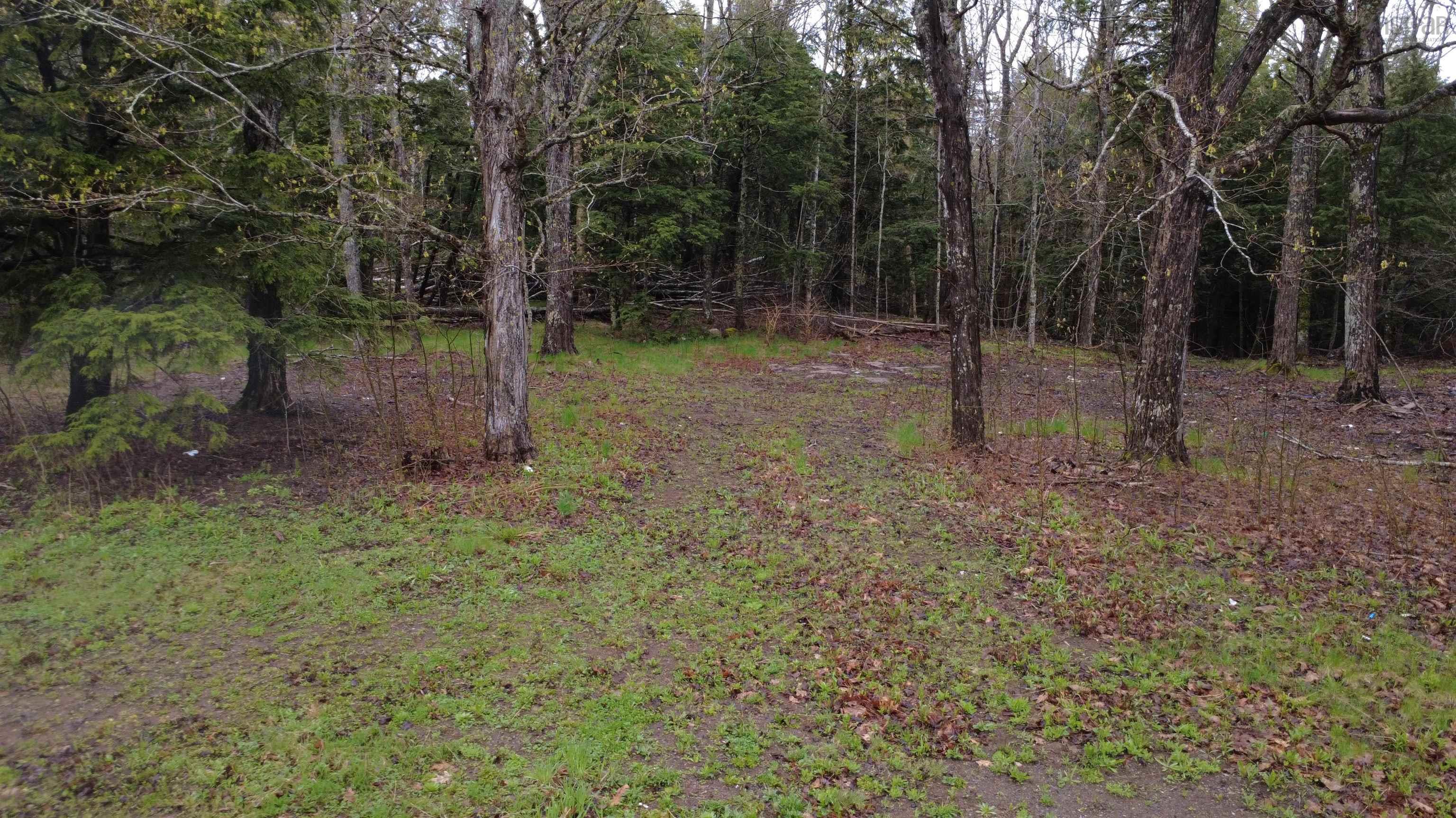 $55,000.00: Lot 142 Condon Road, Scotsburn