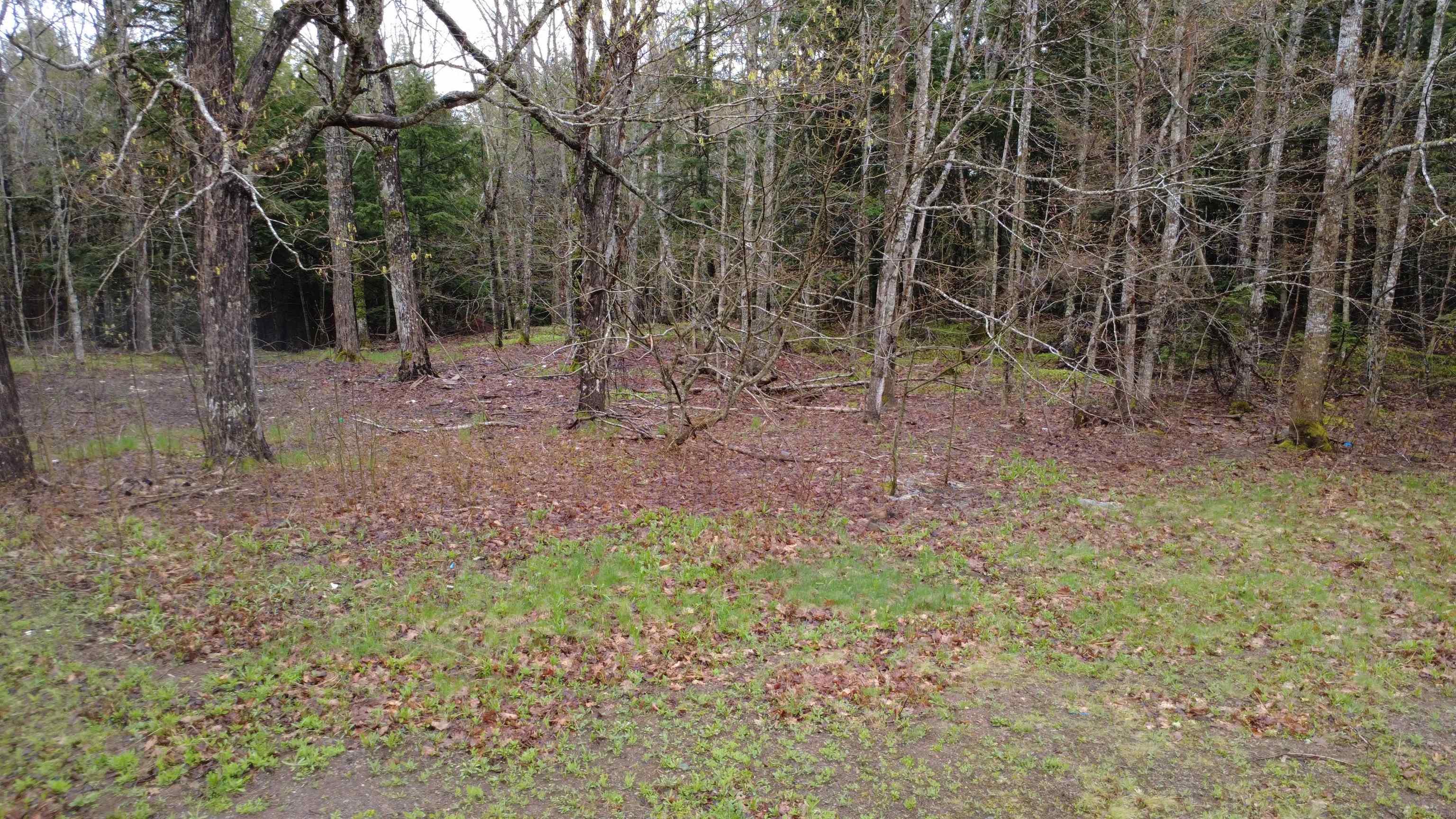 $55,000.00: Lot 142 Condon Road, Scotsburn