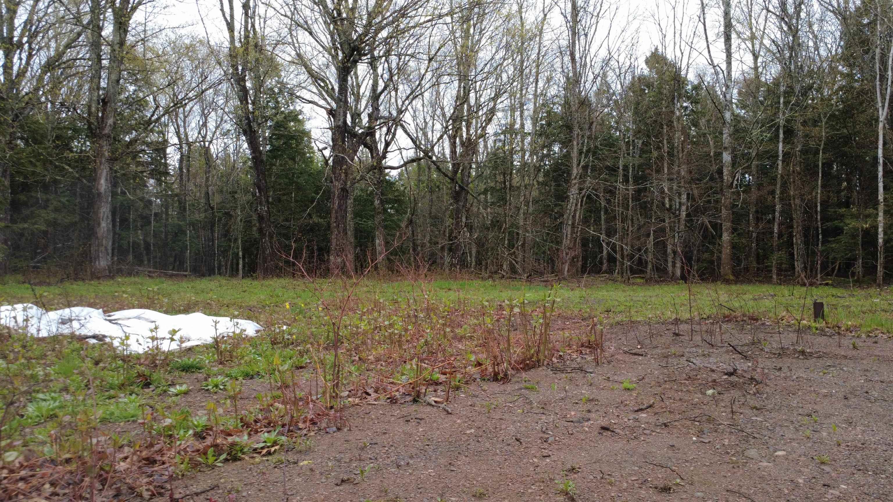 $55,000.00: Lot 142 Condon Road, Scotsburn