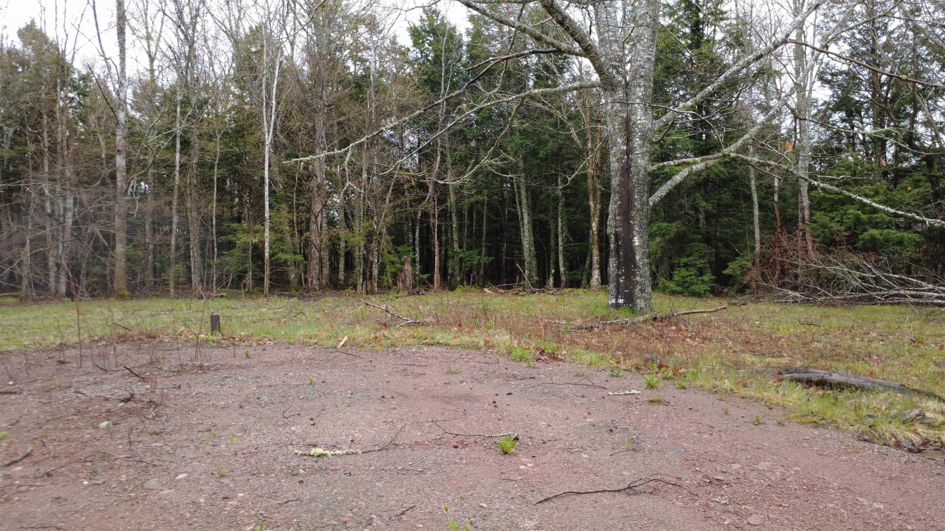 $55,000.00: Lot 142 Condon Road, Scotsburn