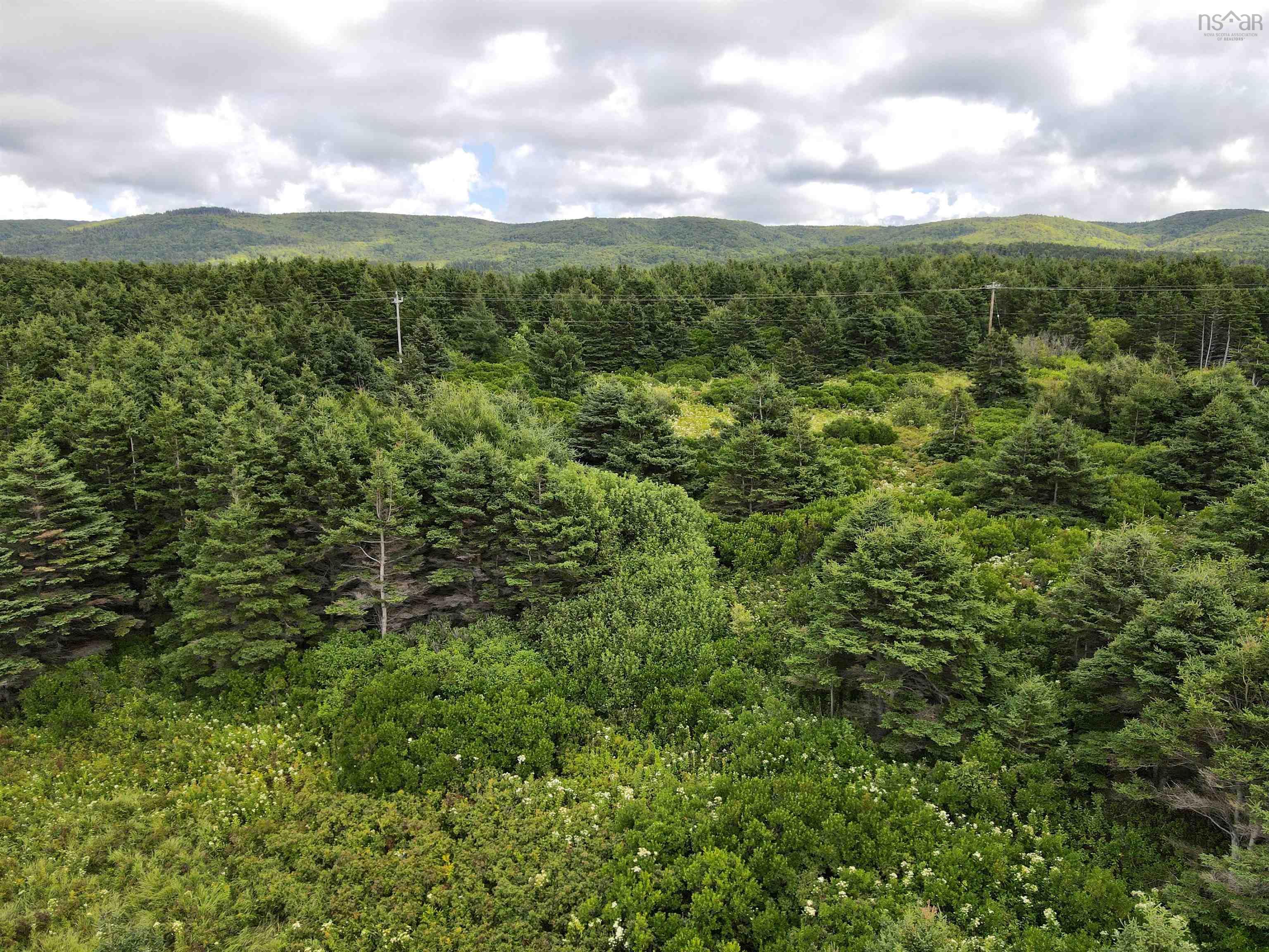 $78,500.00: Lot 2 Cabot Trail, Terre Noire