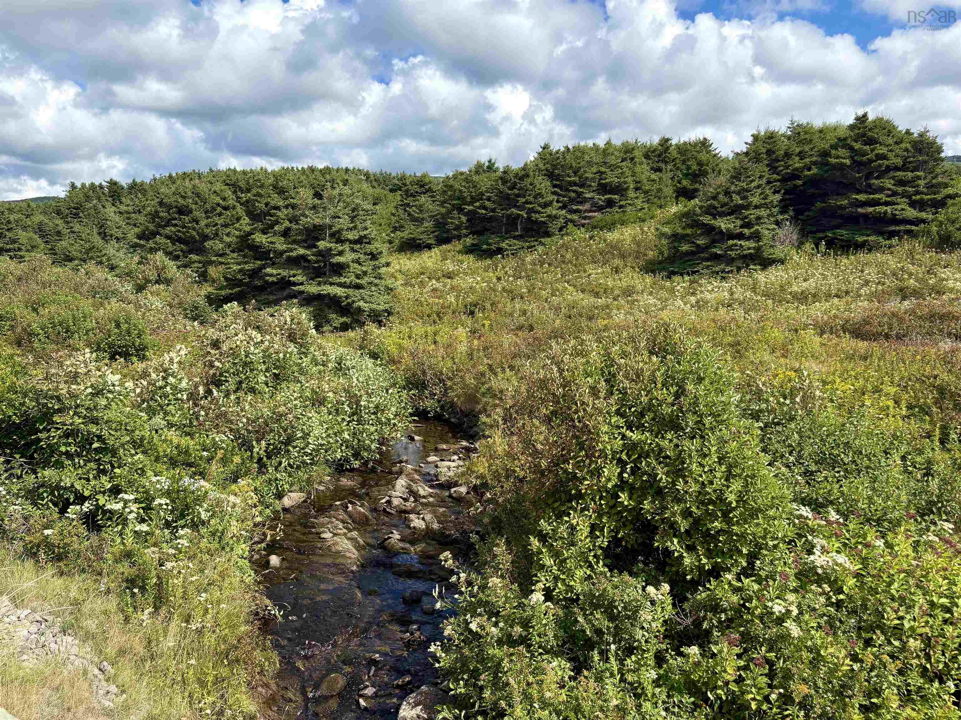 $78,500.00: Lot 2 Cabot Trail, Terre Noire