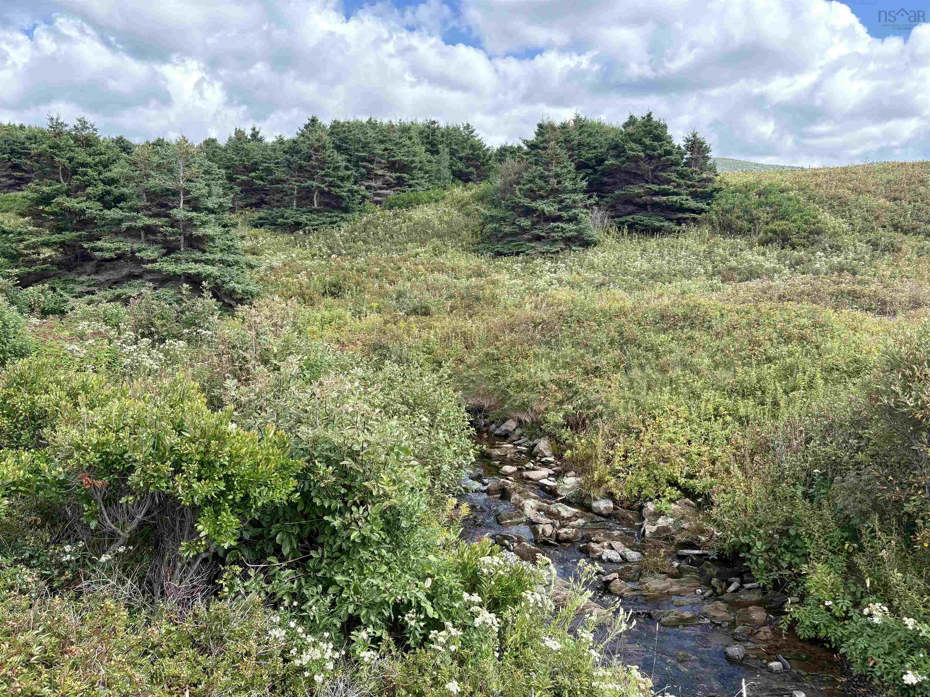 $78,500.00: Lot 2 Cabot Trail, Terre Noire