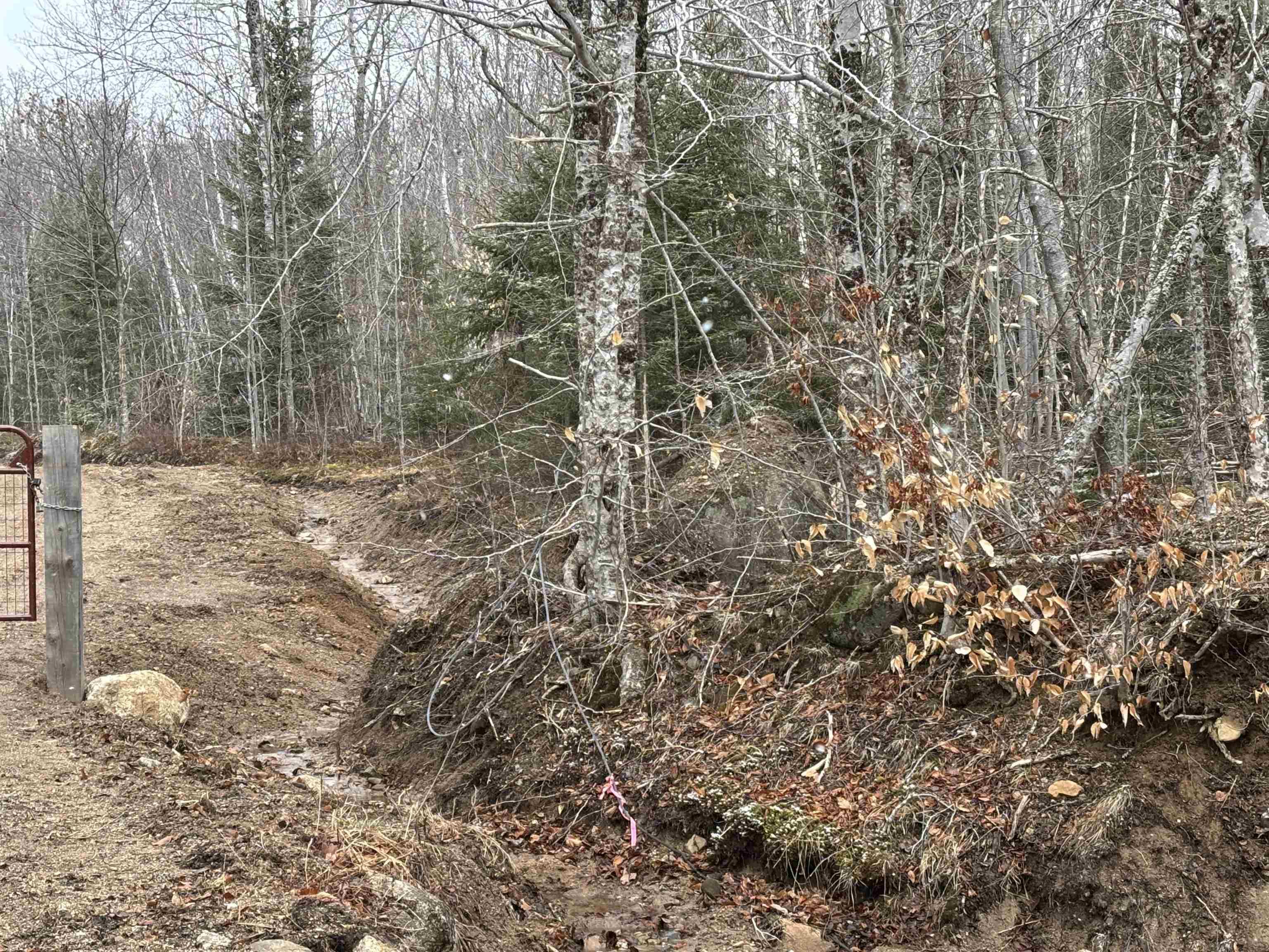 $55,000.00: Lot (PID 05046693) Victory Road, Victory
