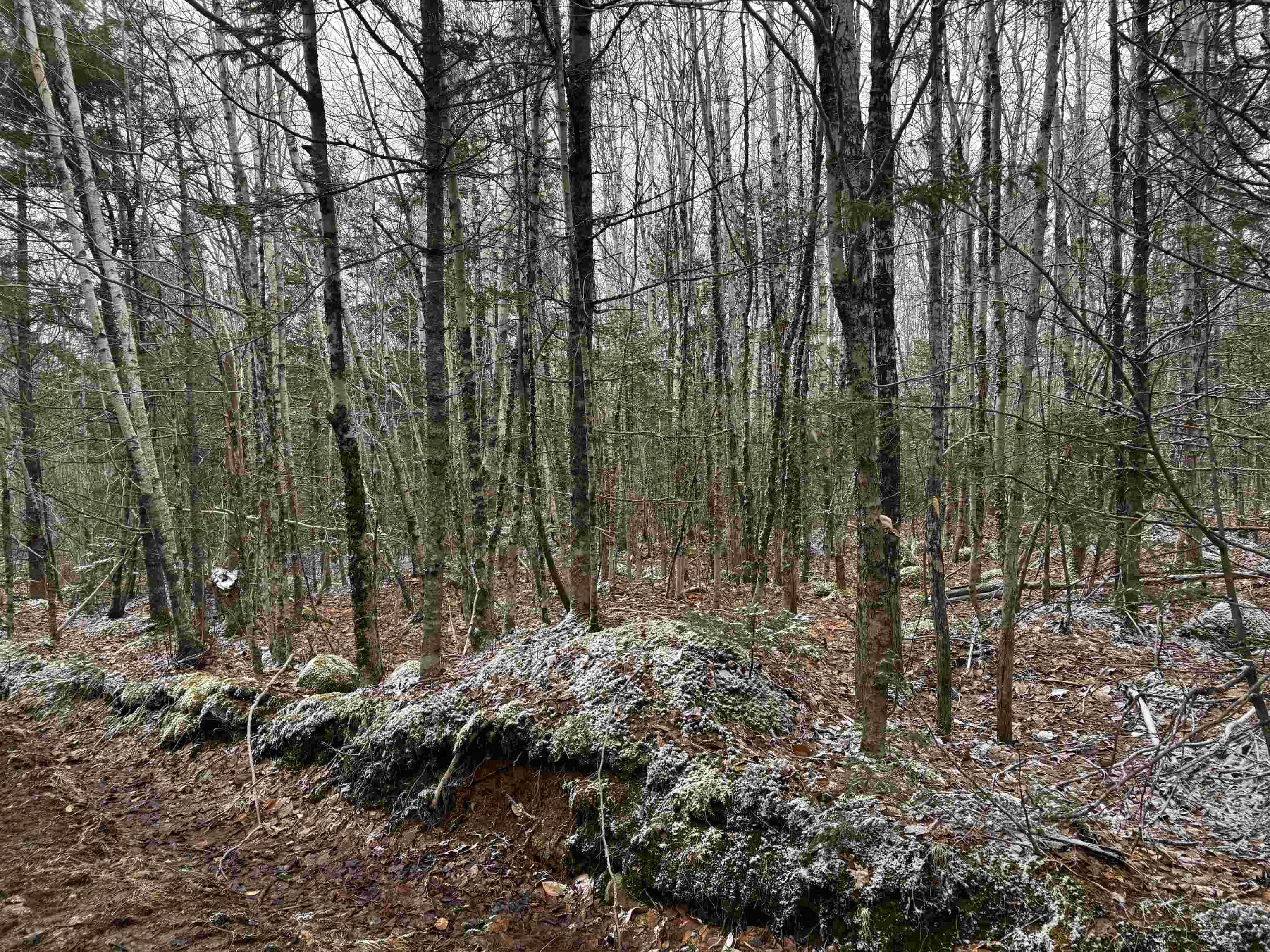 $55,000.00: Lot (PID 05046693) Victory Road, Victory