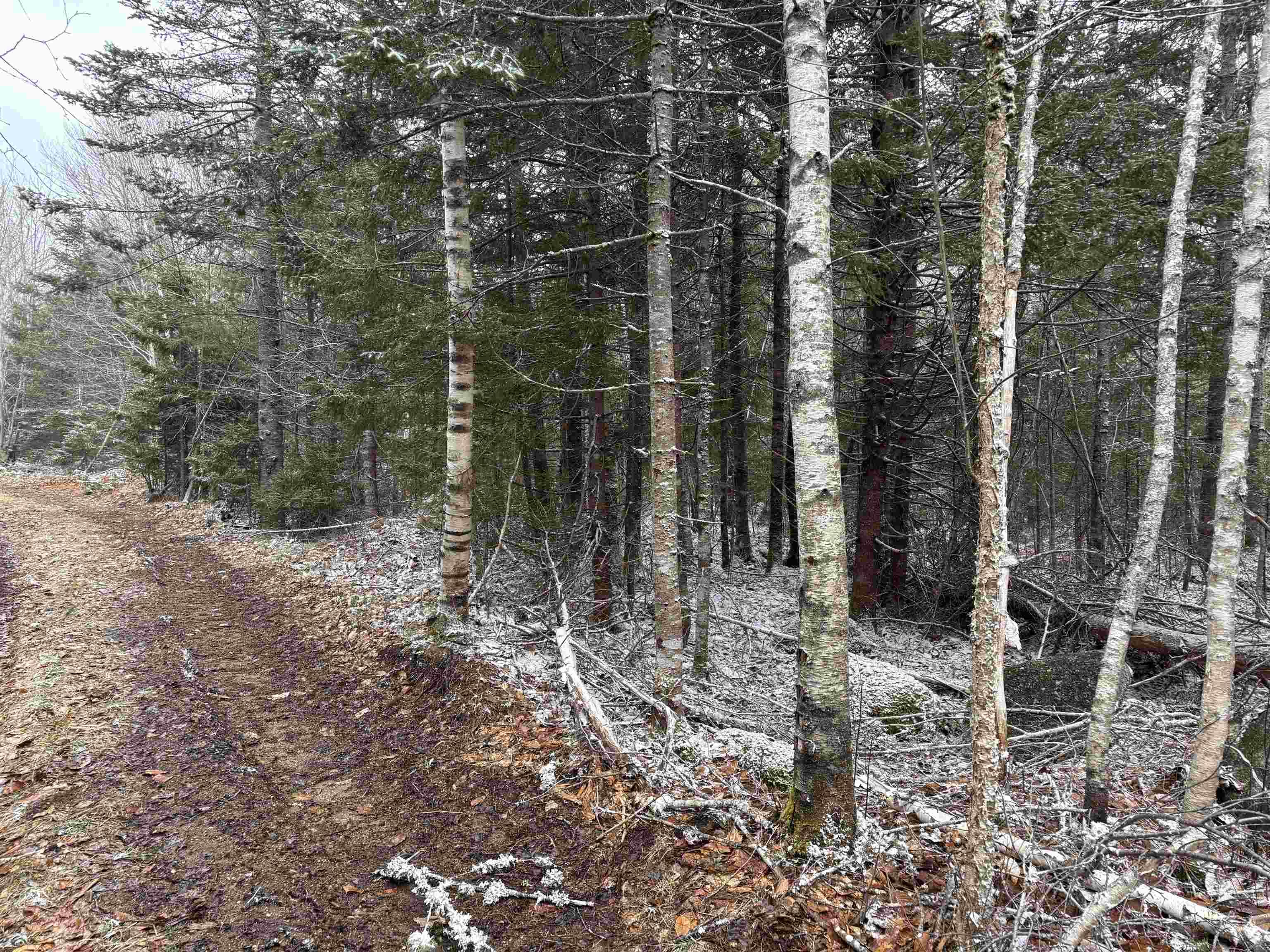$55,000.00: Lot (PID 05046693) Victory Road, Victory