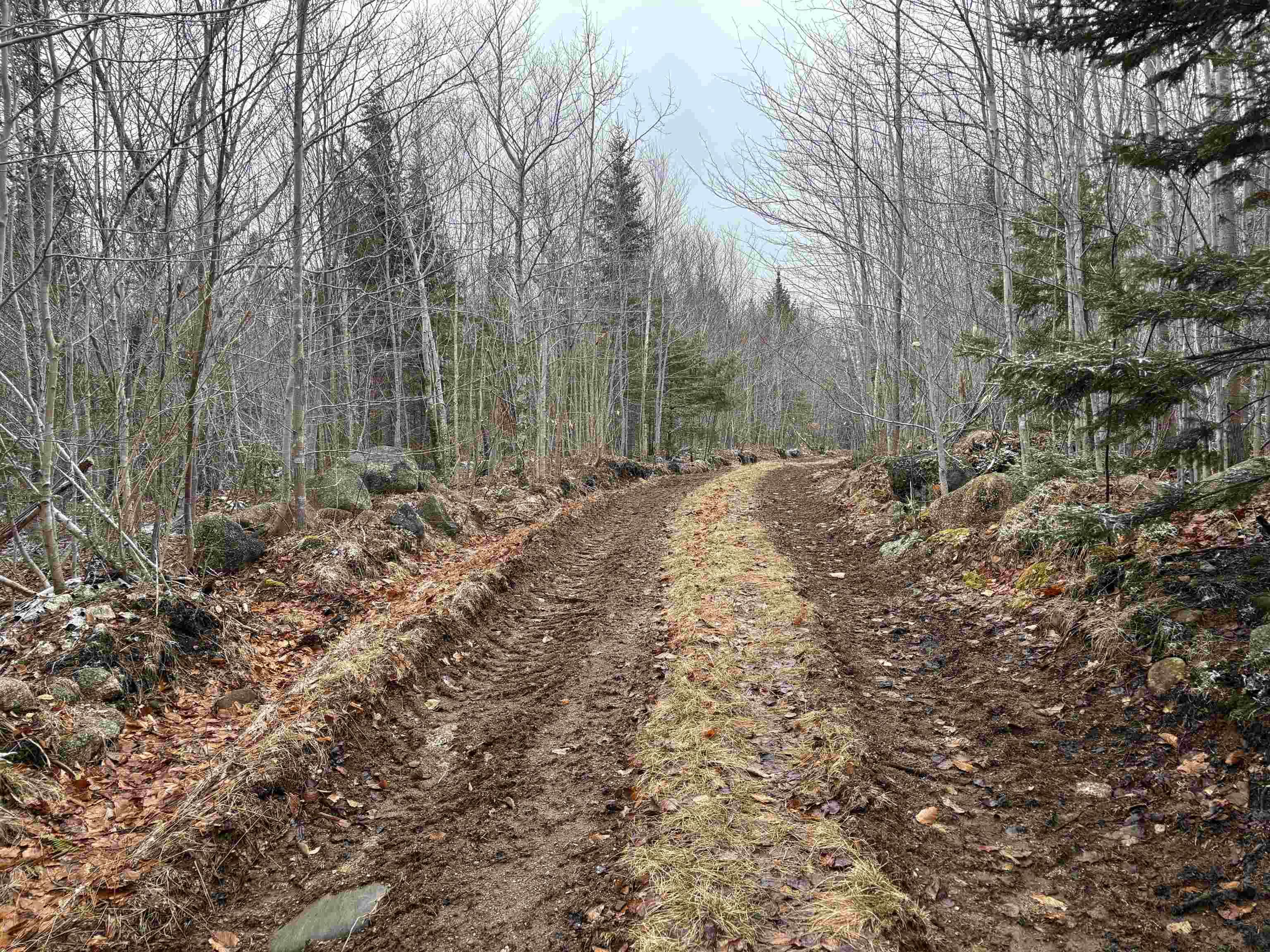 $55,000.00: Lot (PID 05046693) Victory Road, Victory