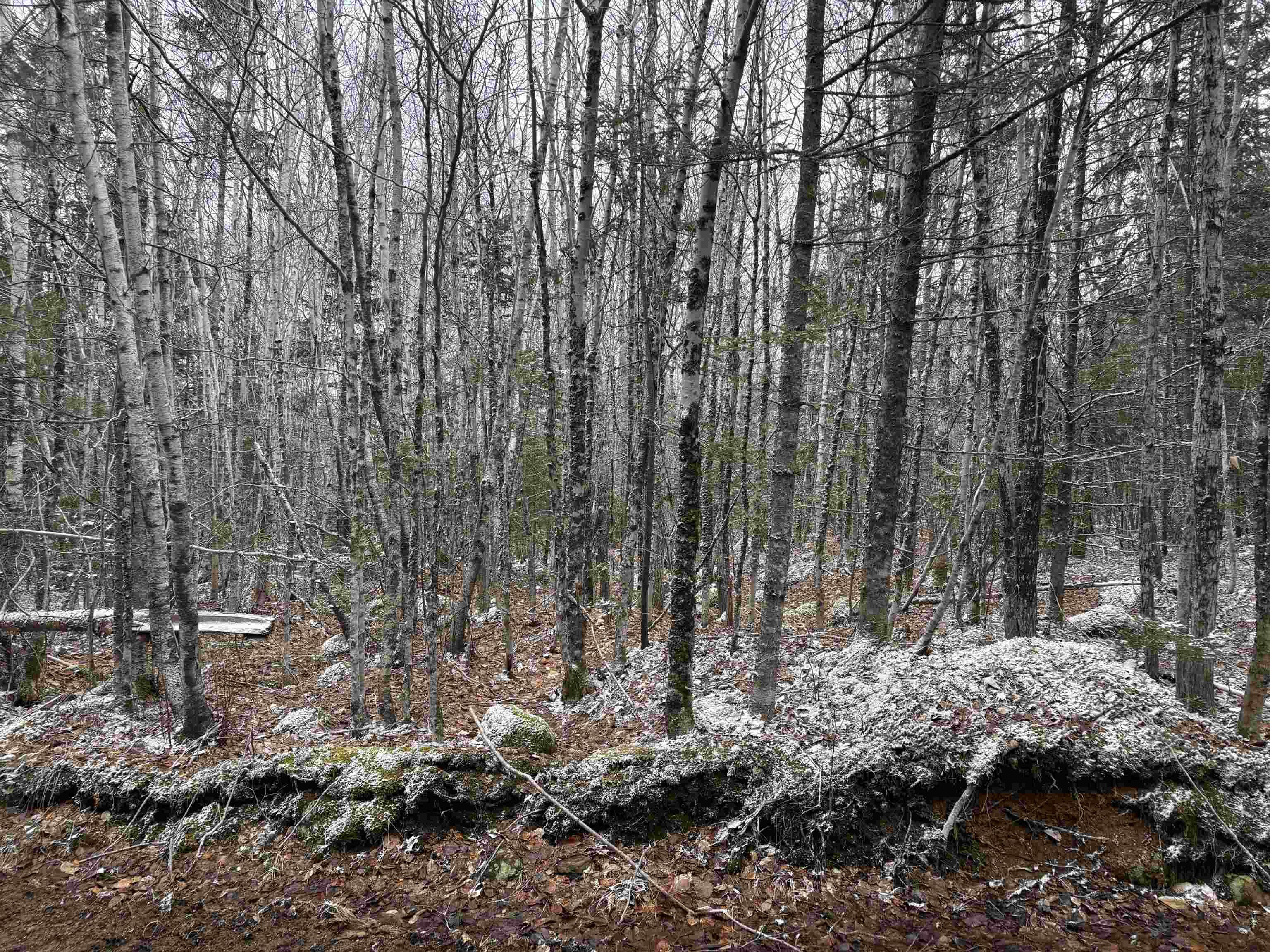 $55,000.00: Lot (PID 05046693) Victory Road, Victory