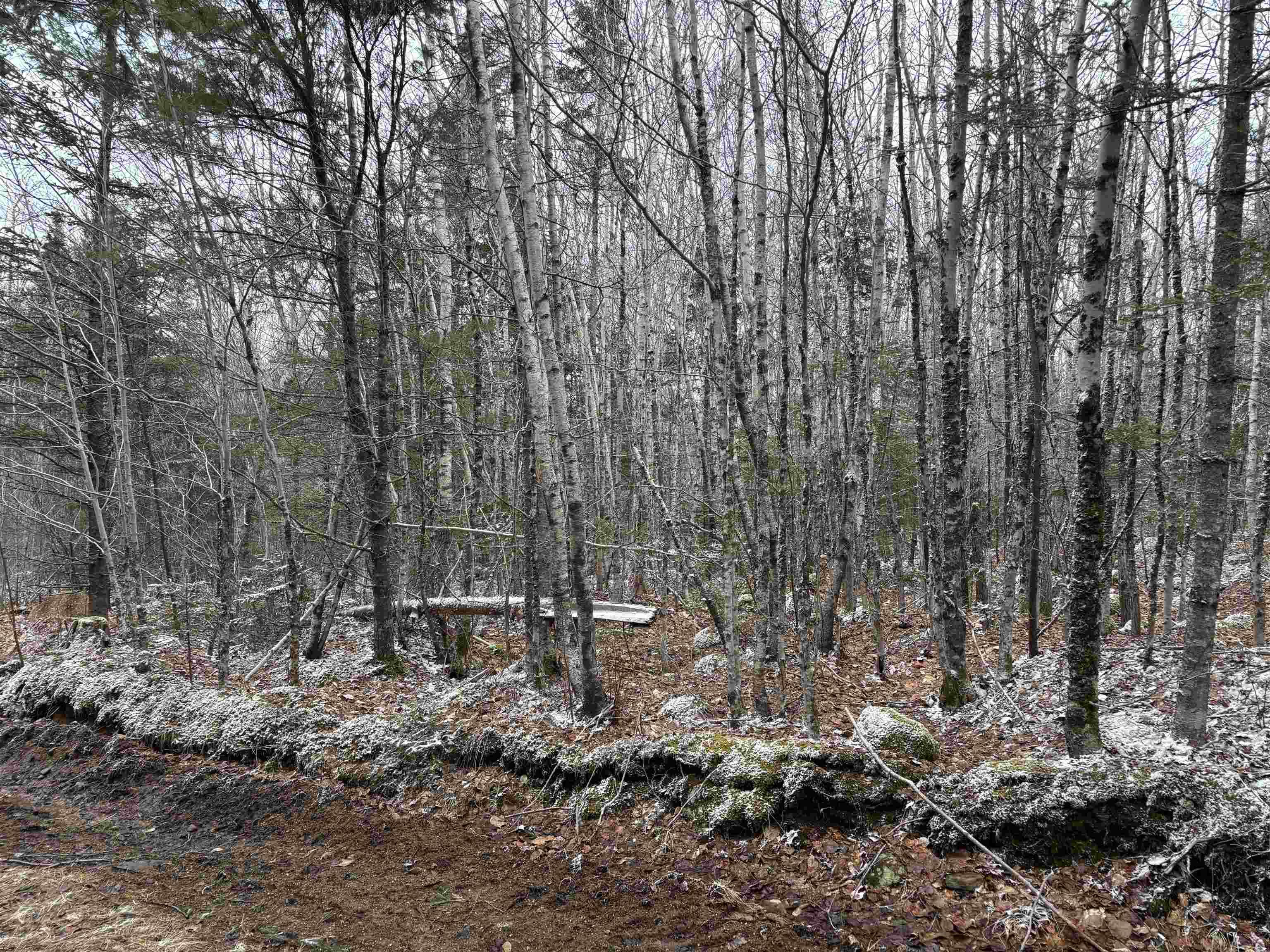 $55,000.00: Lot (PID 05046693) Victory Road, Victory