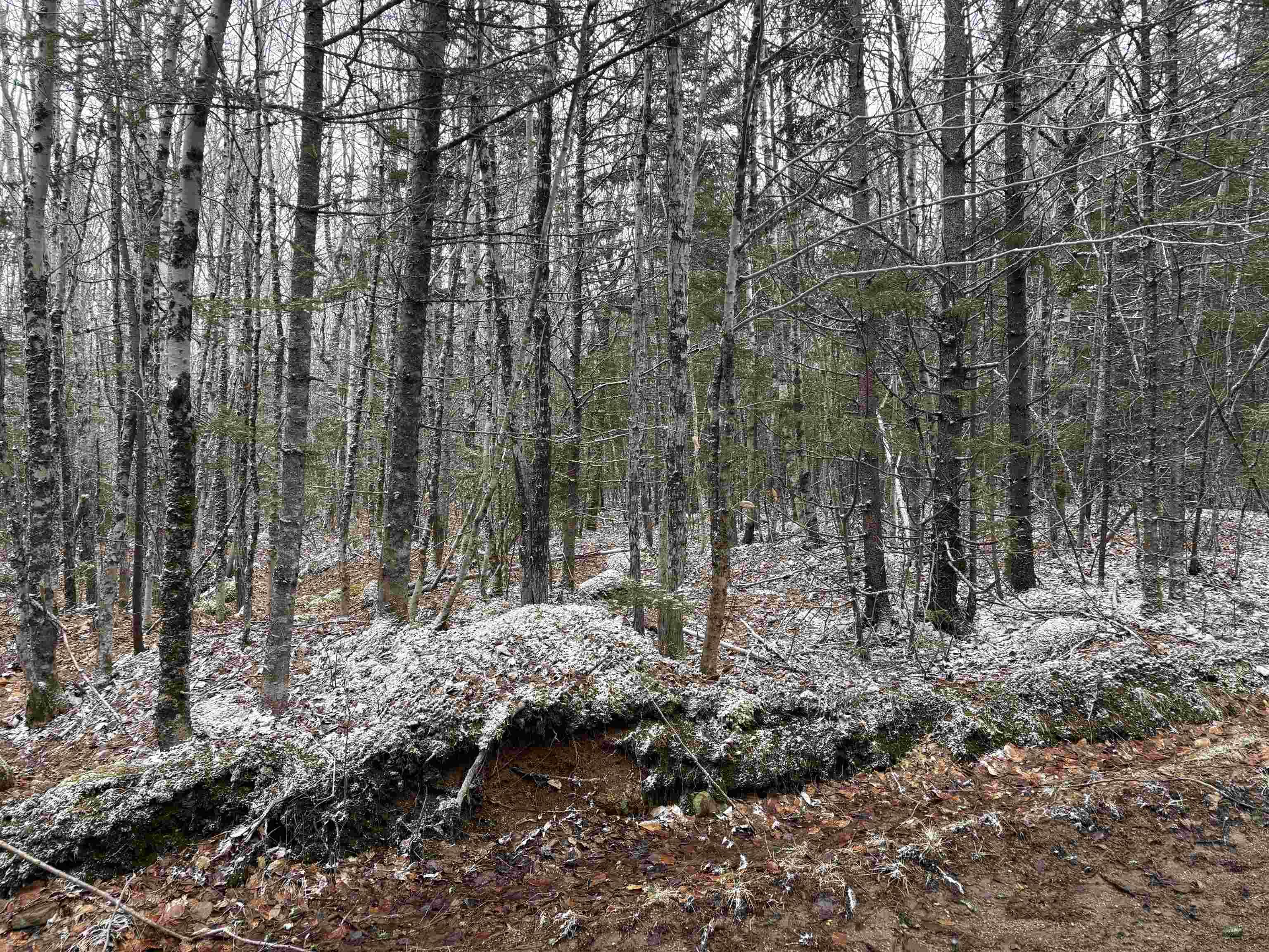 $55,000.00: Lot (PID 05046693) Victory Road, Victory