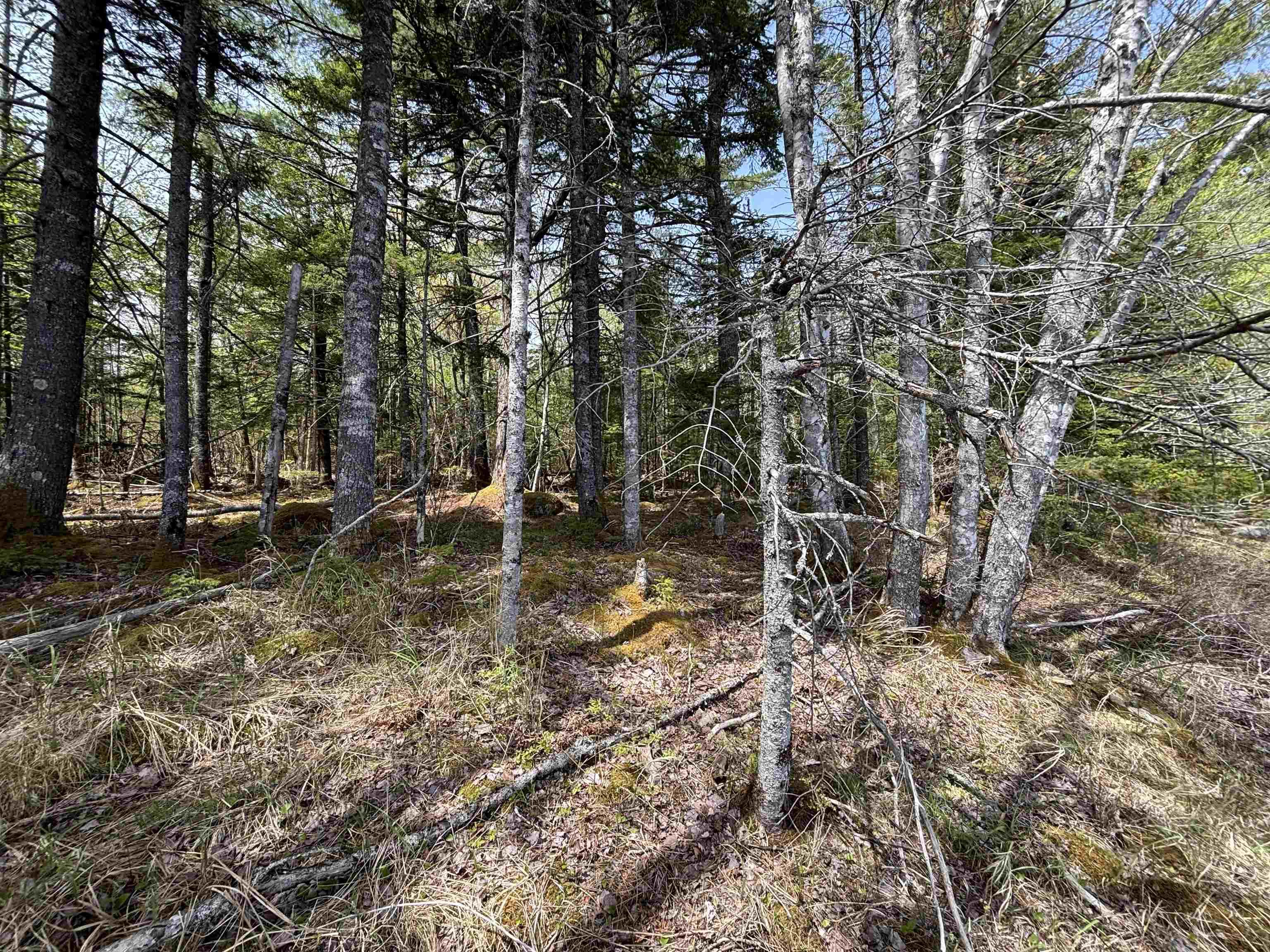 $119,900.00: Lot 3-23 Highway 325, West Clifford
