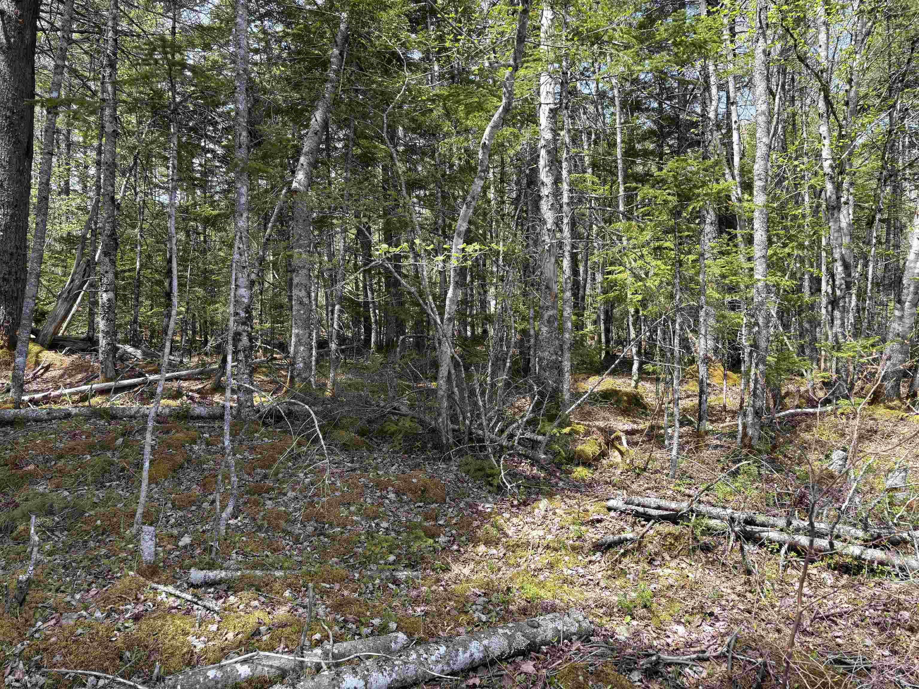 $119,900.00: Lot 3-23 Highway 325, West Clifford