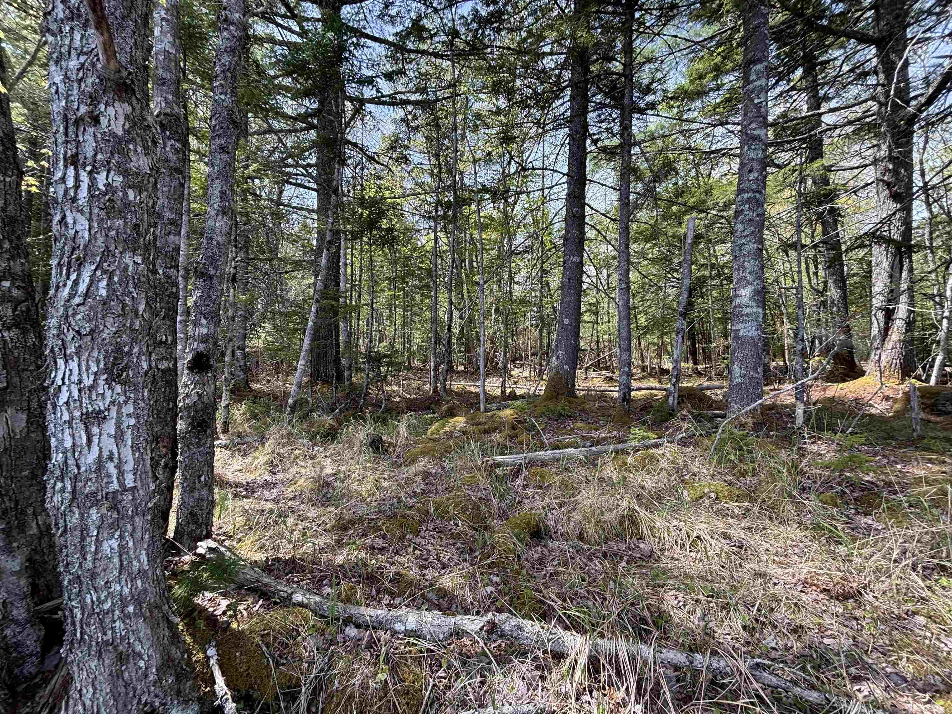$119,900.00: Lot 3-23 Highway 325, West Clifford
