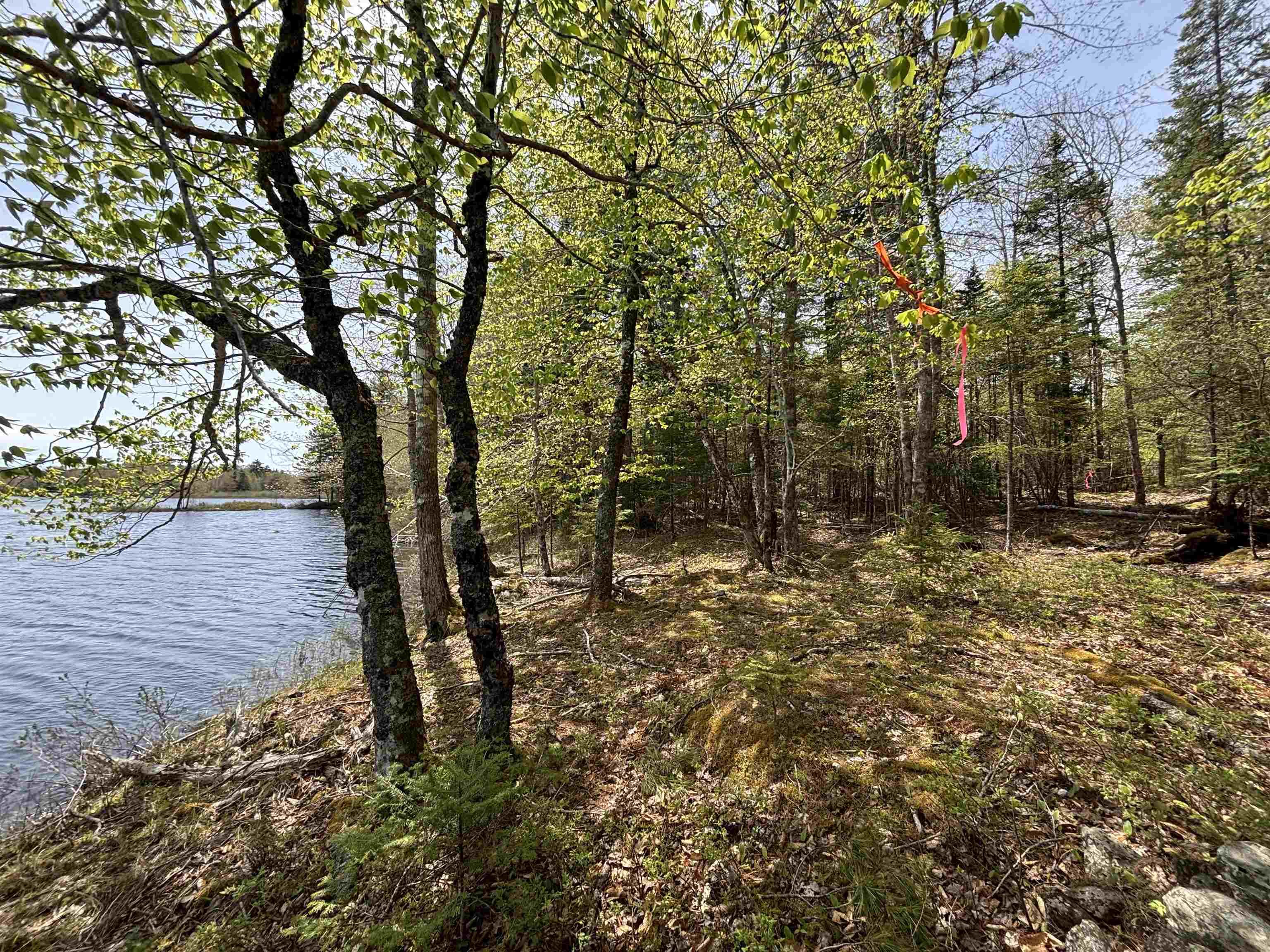 $119,900.00: Lot 3-23 Highway 325, West Clifford