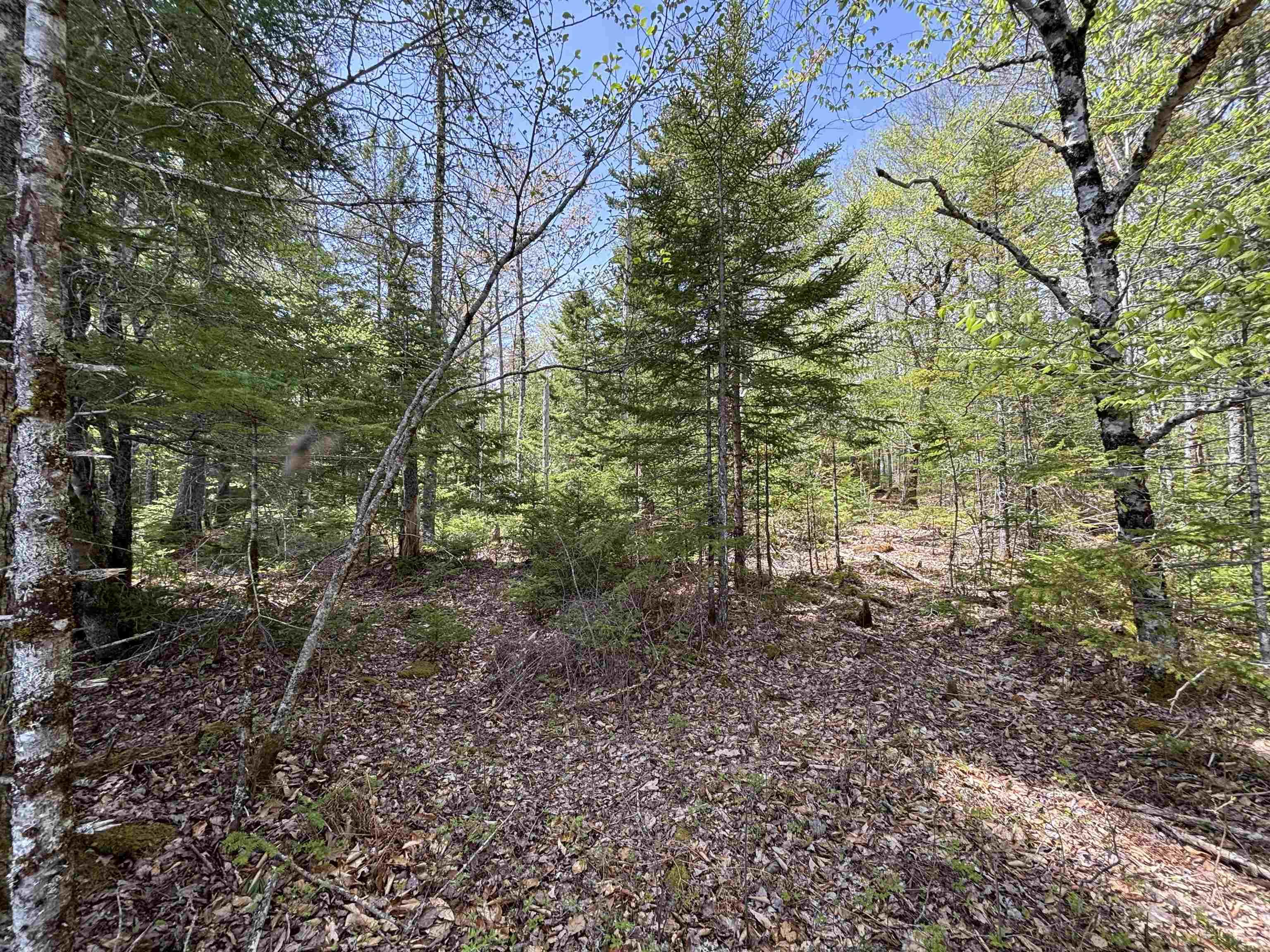 $119,900.00: Lot 5-23 Highway 325, West Clifford