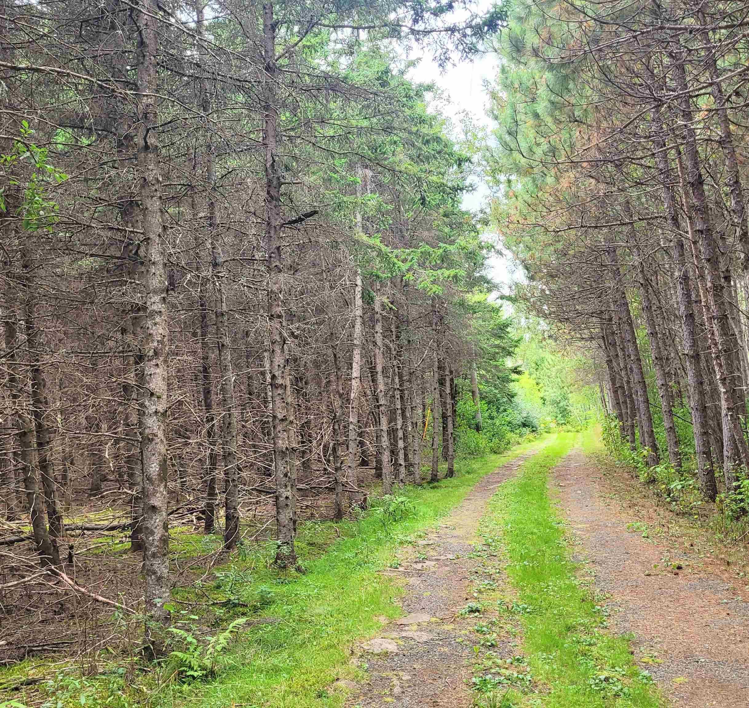 $425,000.00: 432 Stewart Road, Pugwash River