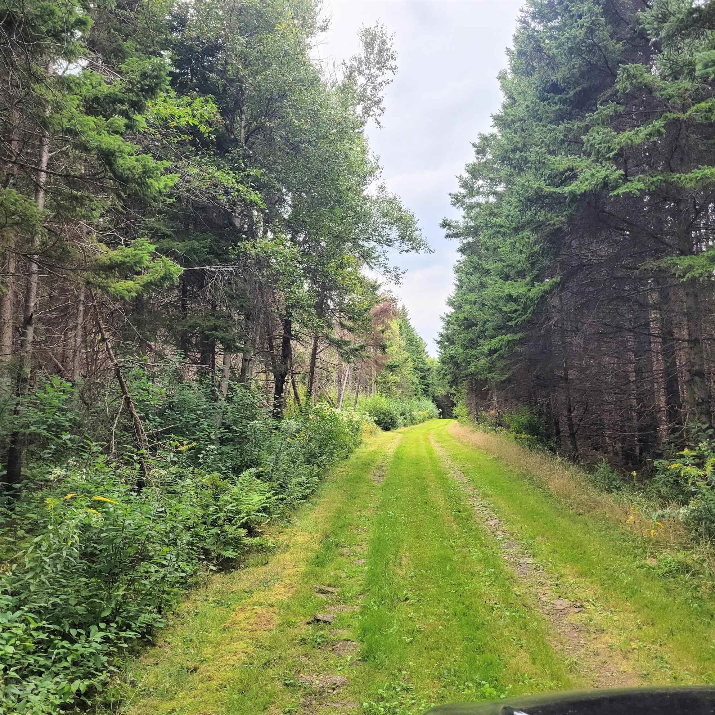 $425,000.00: 432 Stewart Road, Pugwash River