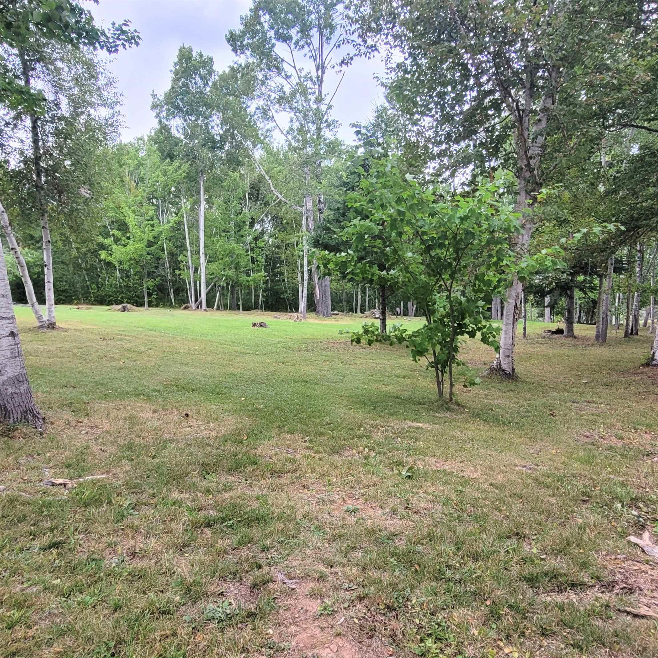 $425,000.00: 432 Stewart Road, Pugwash River