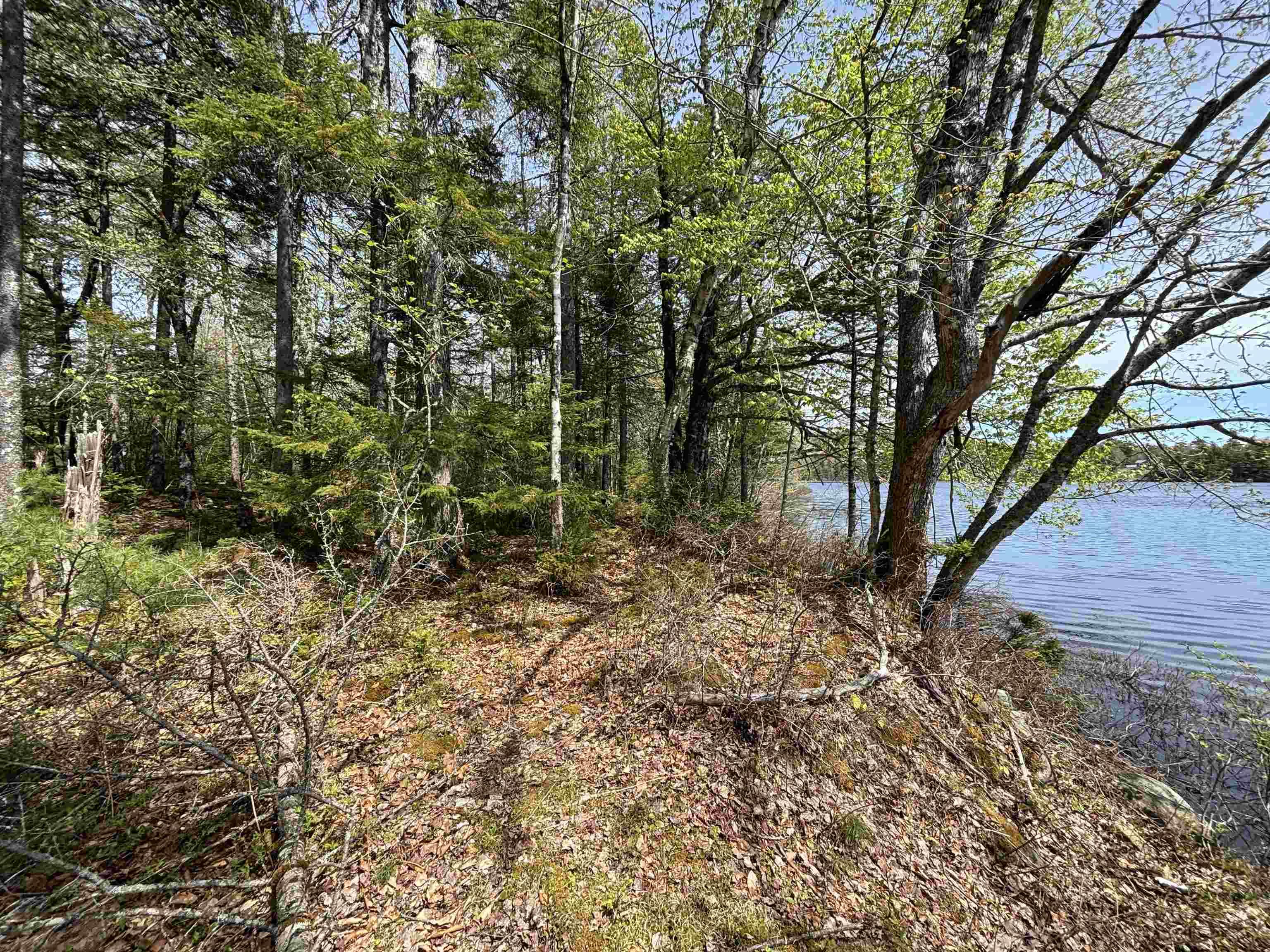 $119,900.00: Lot 7-23 Highway 325, West Clifford