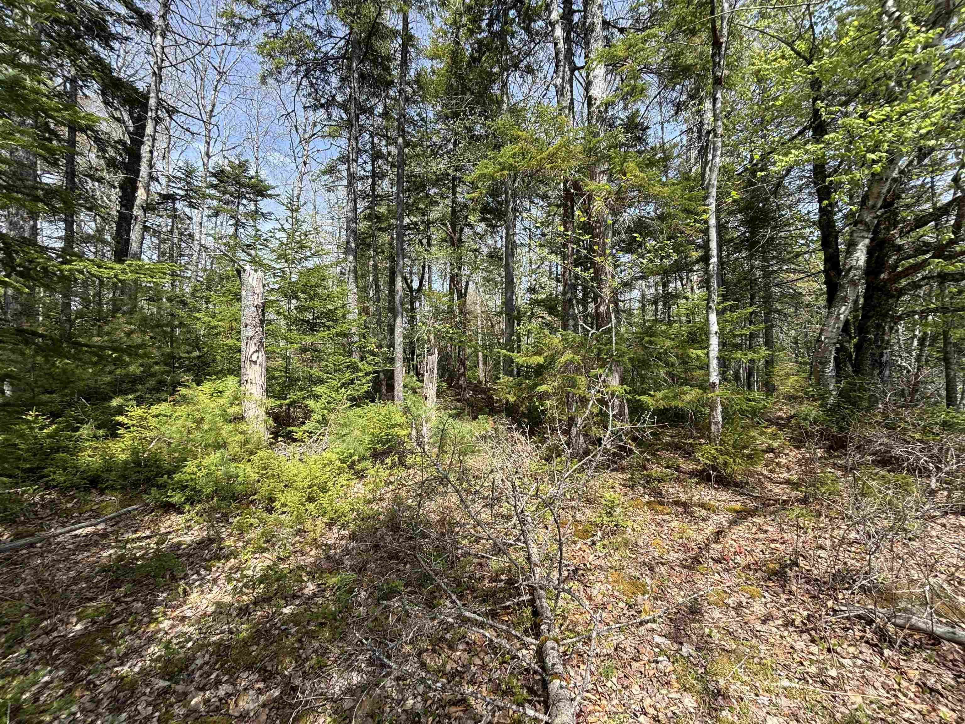 $119,900.00: Lot 7-23 Highway 325, West Clifford