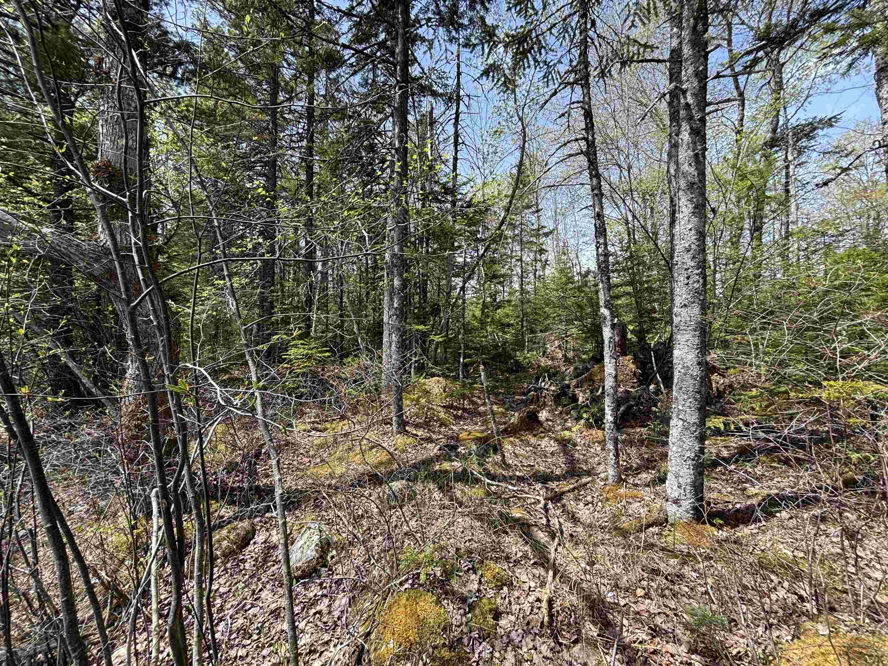 $119,900.00: Lot 7-23 Highway 325, West Clifford