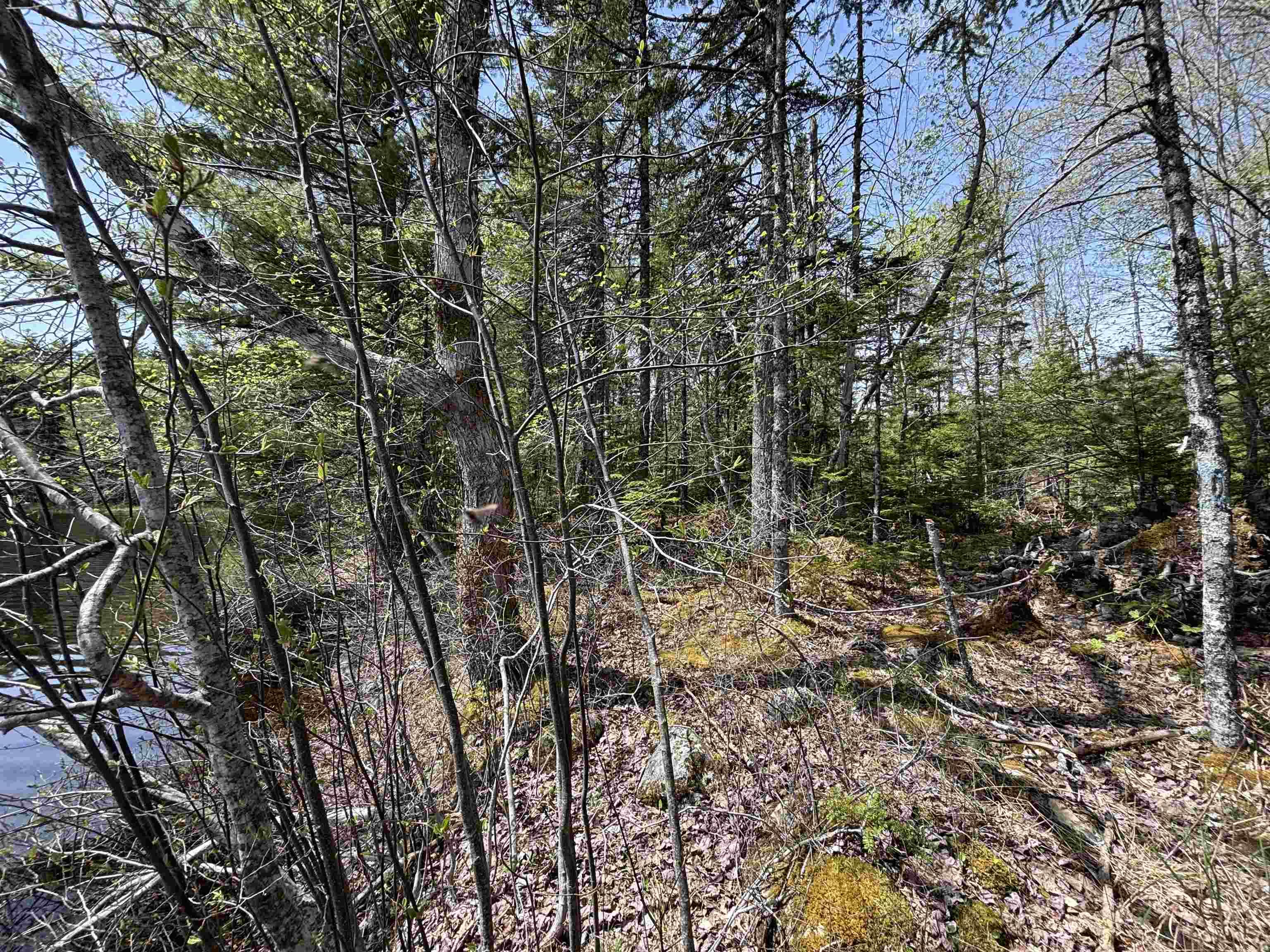 $119,900.00: Lot 7-23 Highway 325, West Clifford