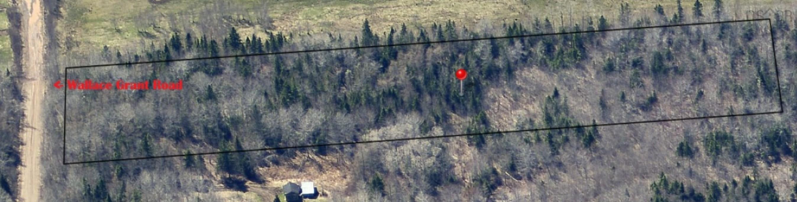 $34,900.00: Lot-1 Wallace Grant Road, Wallace Grant