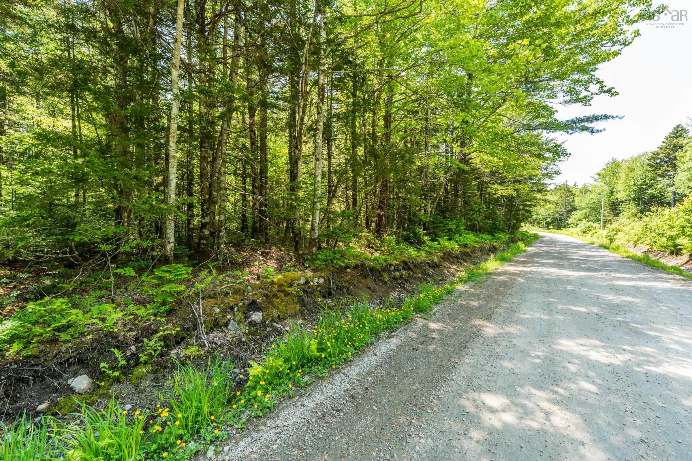 $50,000.00: Lot 4, Depot Road, East Kemptville