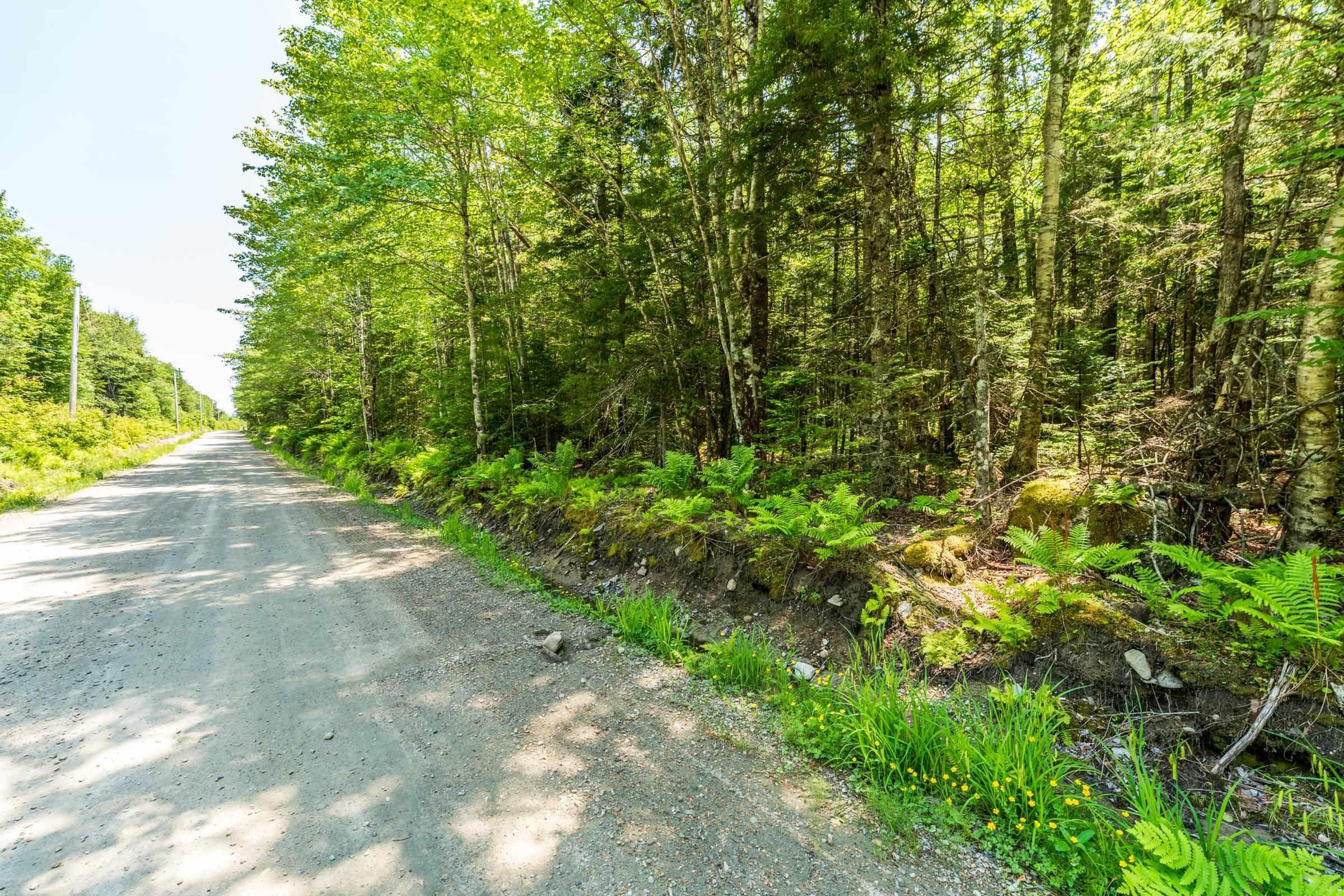 $50,000.00: Lot 4, Depot Road, East Kemptville
