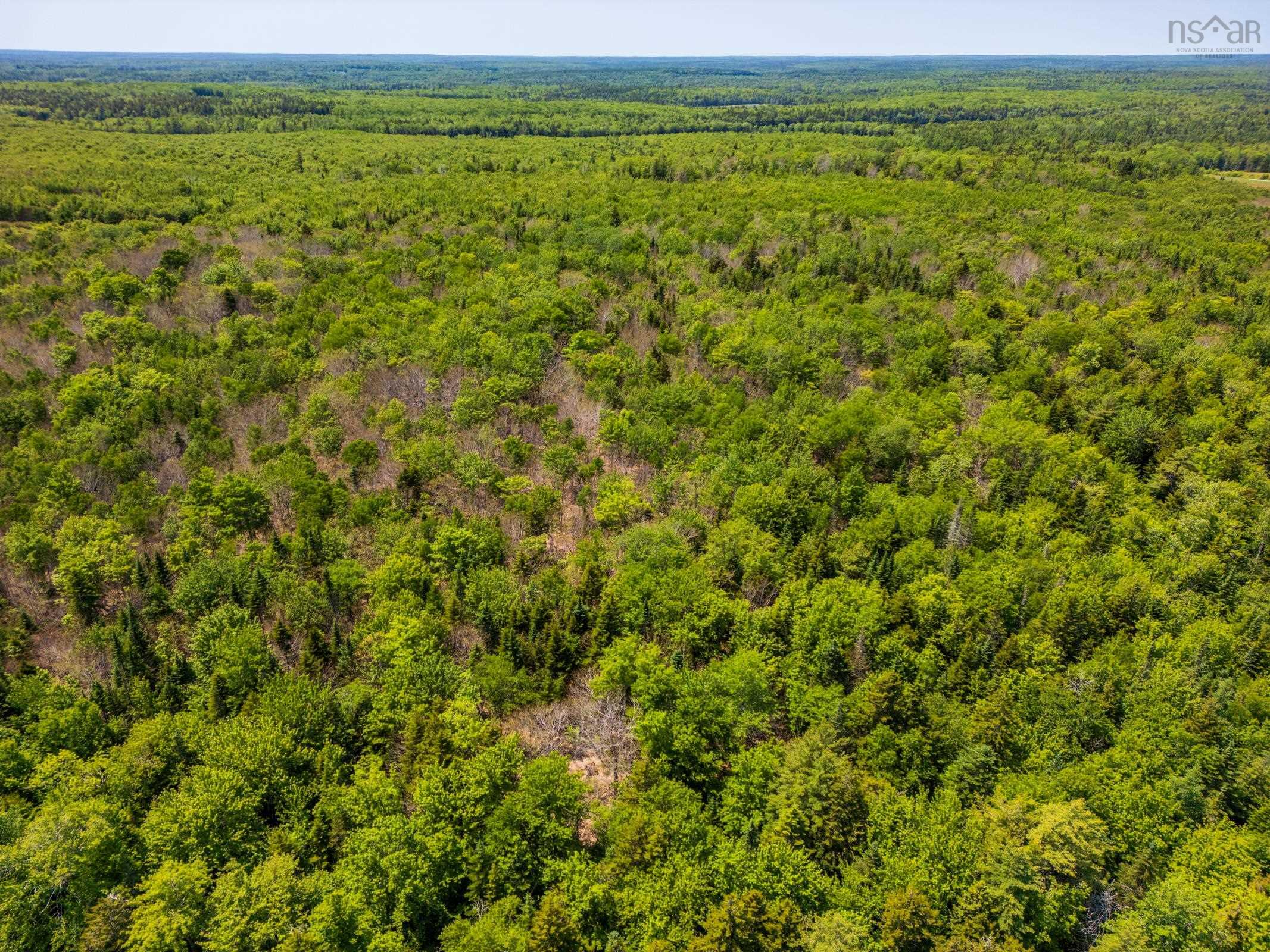 $175,000.00: Lot 5, Depot Road, East Kemptville