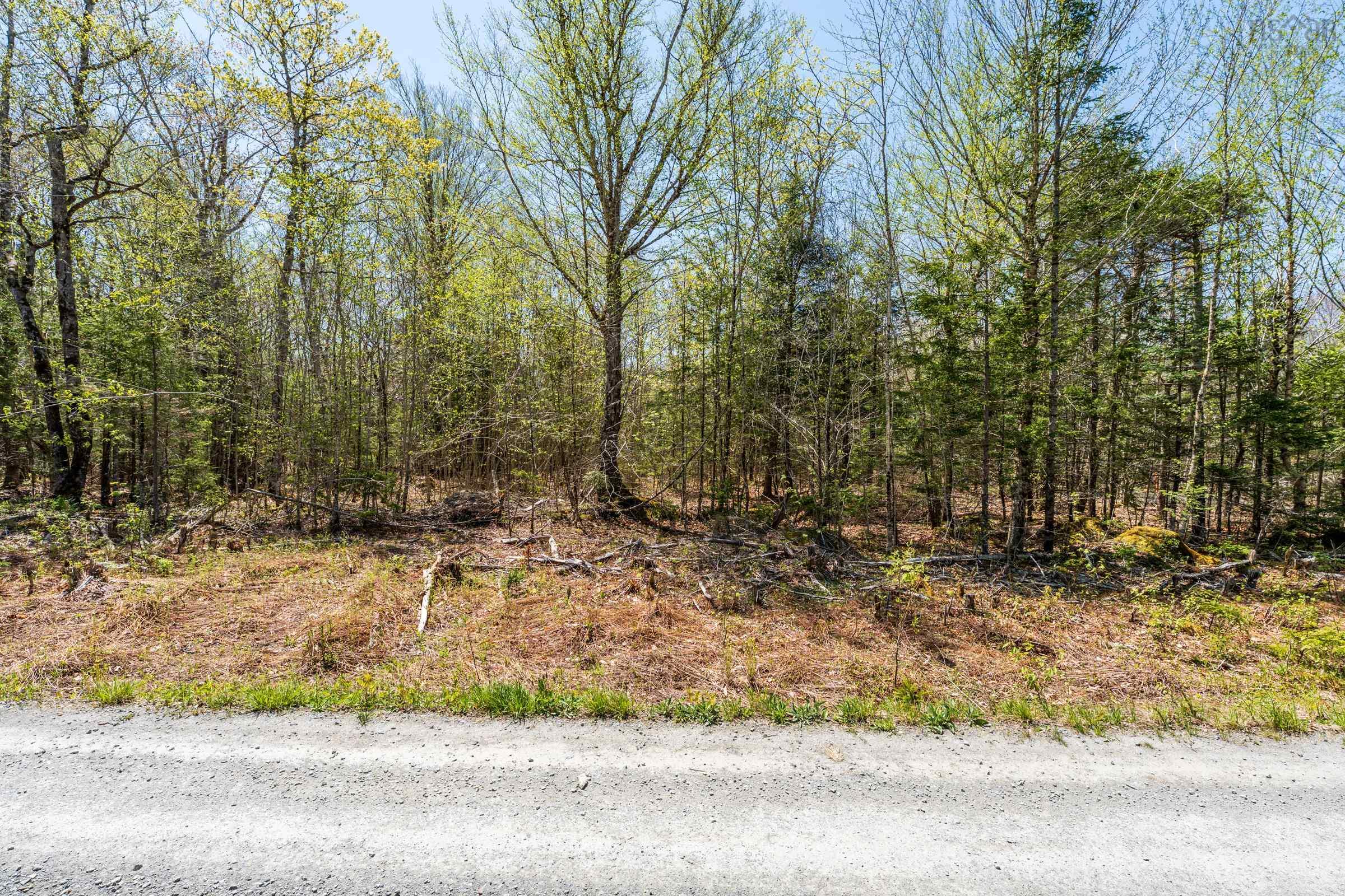 $29,500.00: Lot 1 Chemin Theriault Point Road, Belliveaus Cove