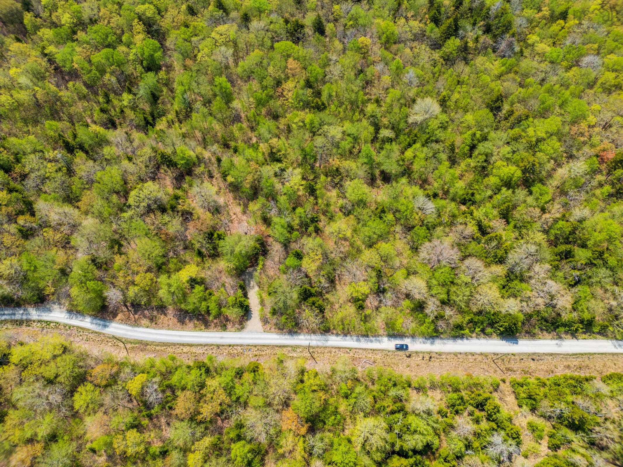 $29,500.00: Lot 1 Chemin Theriault Point Road, Belliveaus Cove