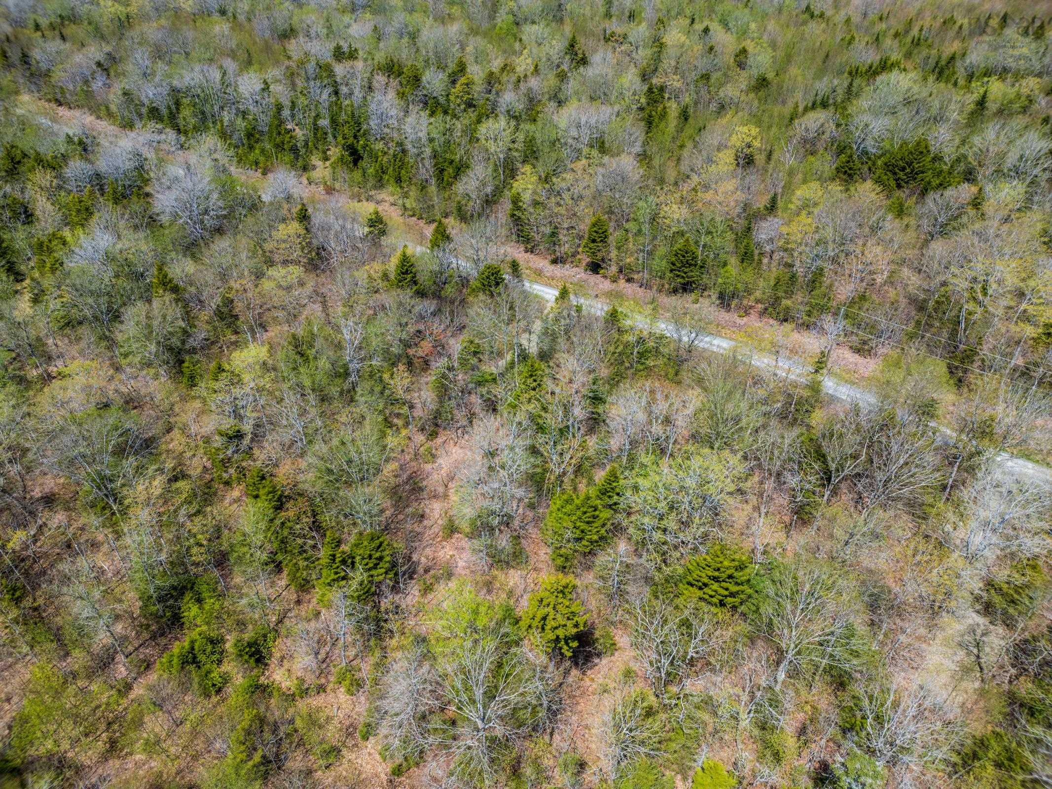 $29,500.00: Lot 1 Chemin Theriault Point Road, Belliveaus Cove