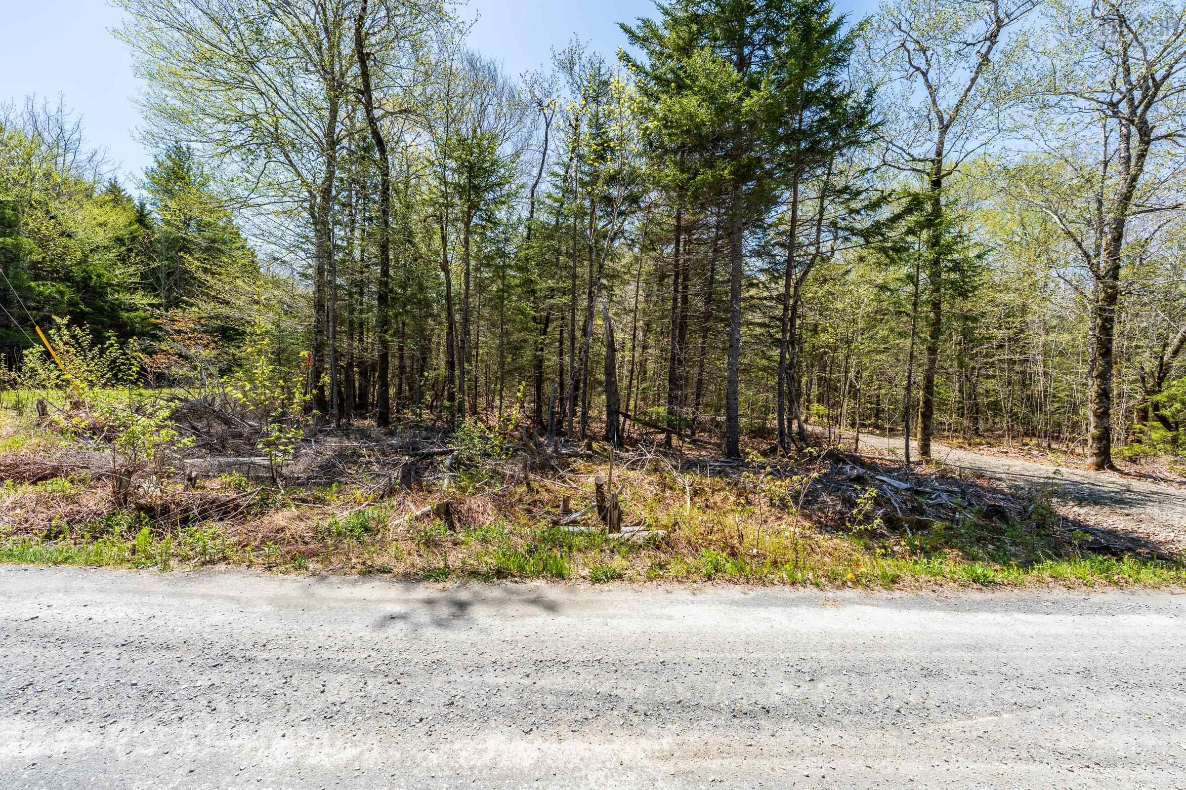 $29,500.00: Lot 3 Chemin Theriault Point Road, Belliveaus Cove