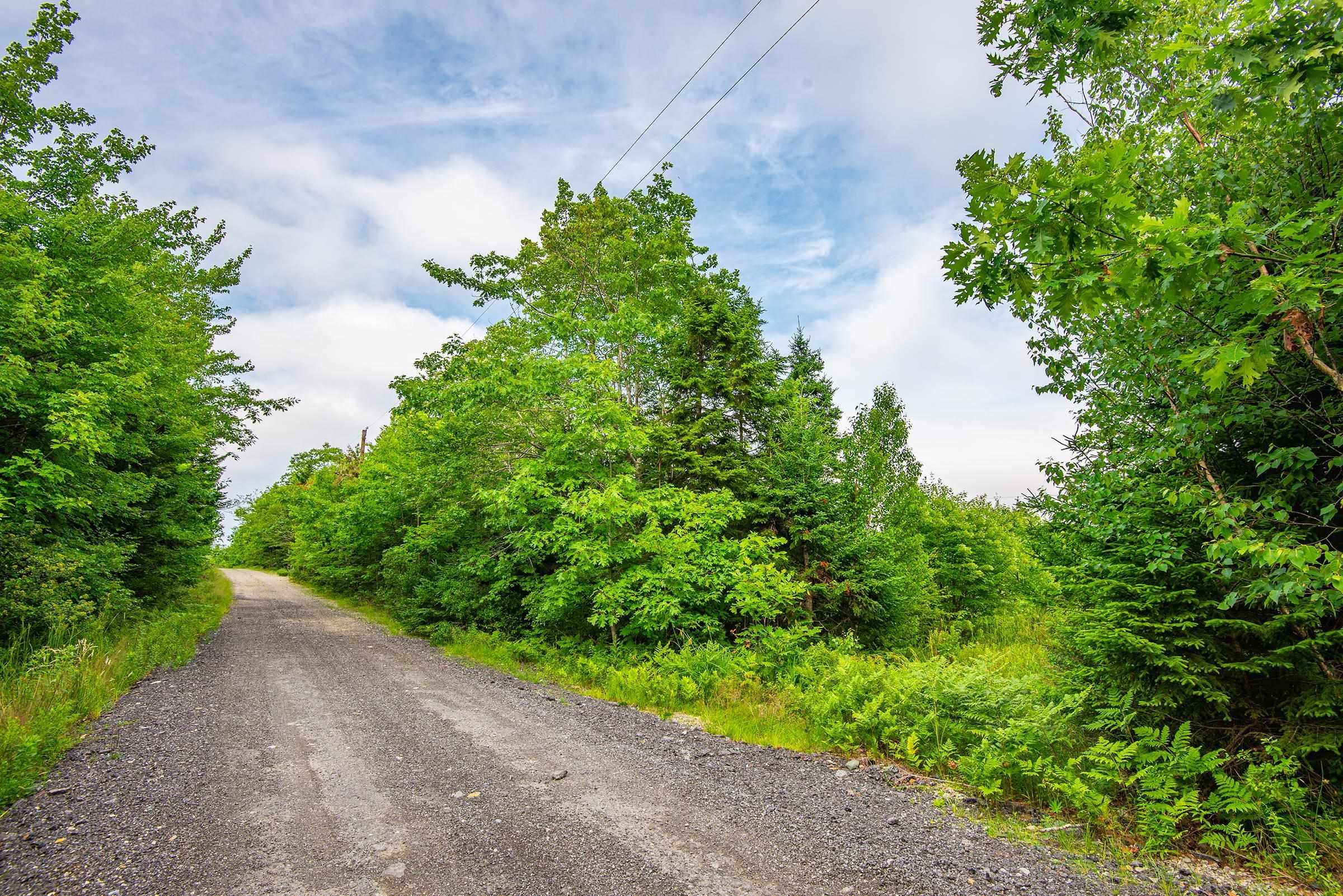 $55,000.00: Lot, Hamilton Road, Pleasant Valley