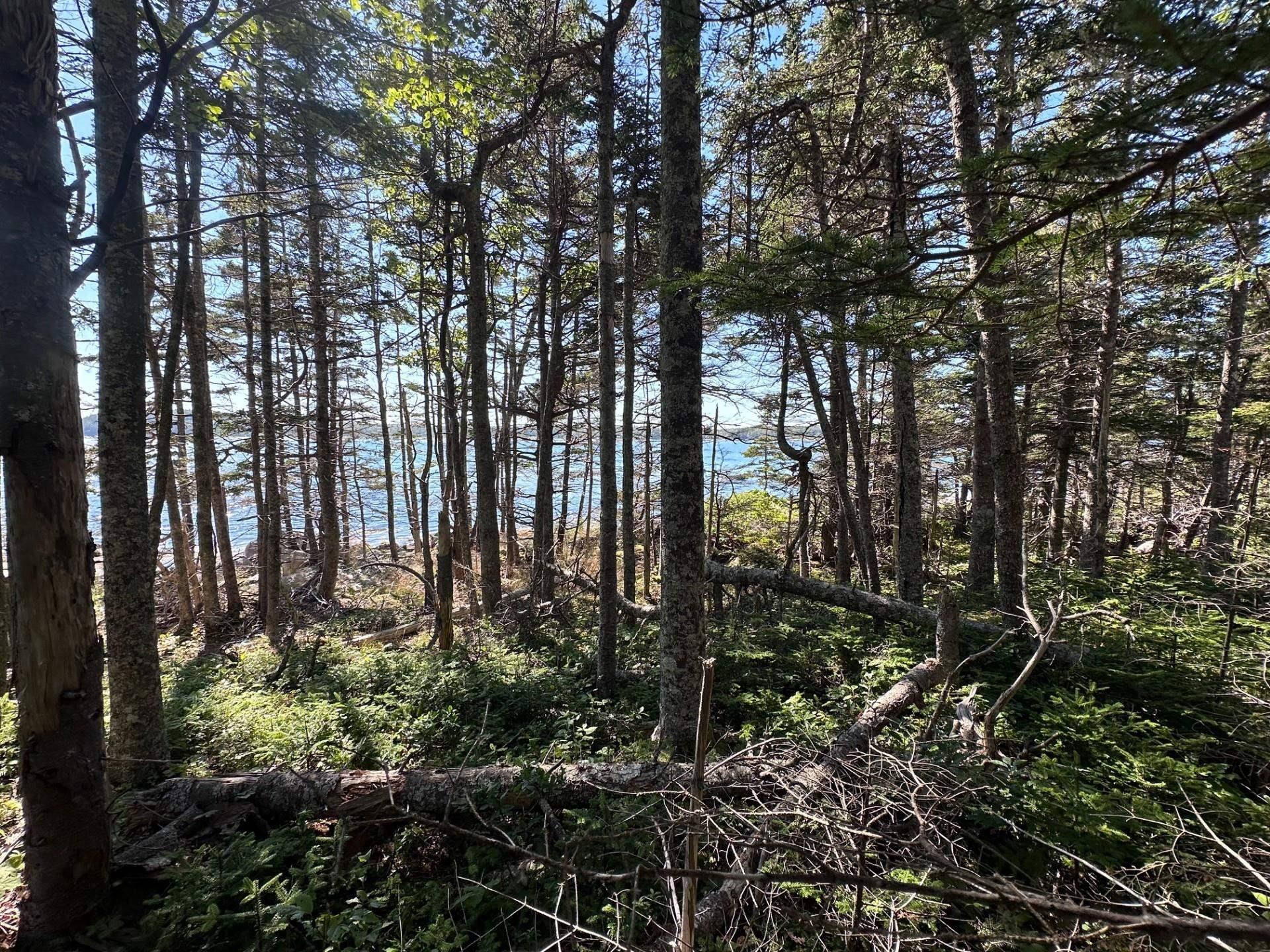 $124,500.00: Lot 3 Stewarts Point Road, East Port L