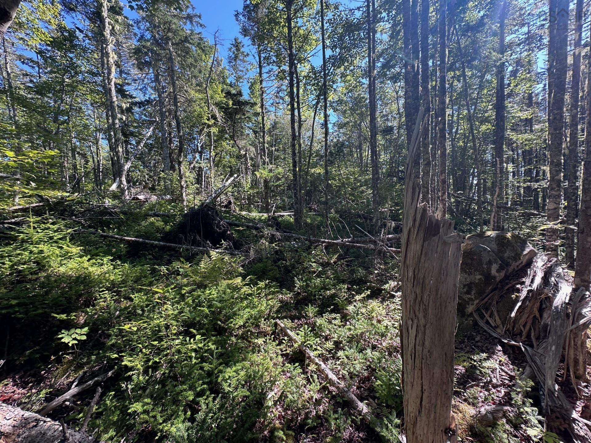 $124,500.00: Lot 3 Stewarts Point Road, East Port L