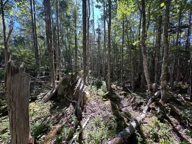 $124,500.00: Lot 3 Stewarts Point Road, East Port L
