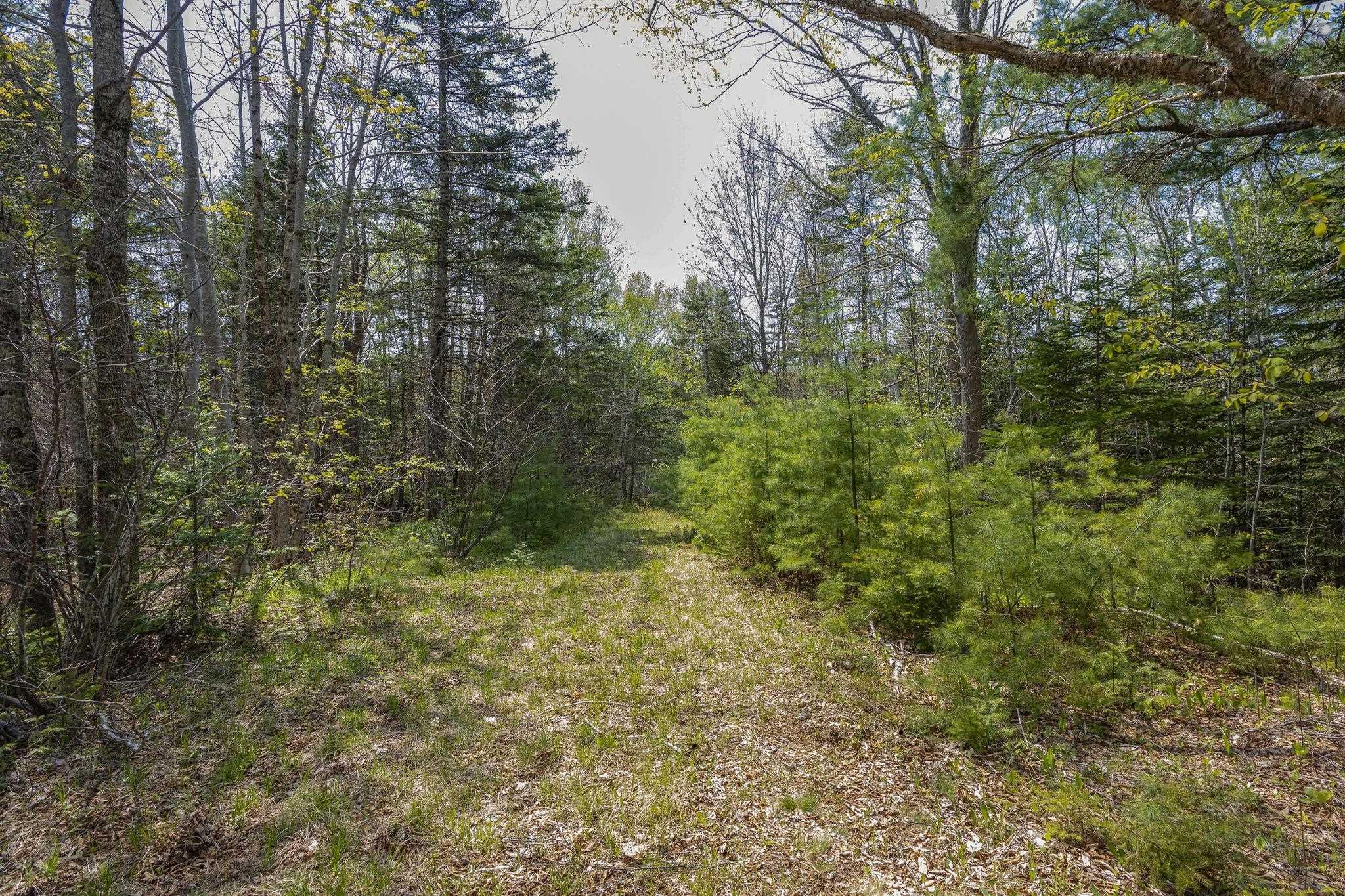 $45,000.00: Mickey Hill Loop, Graywood