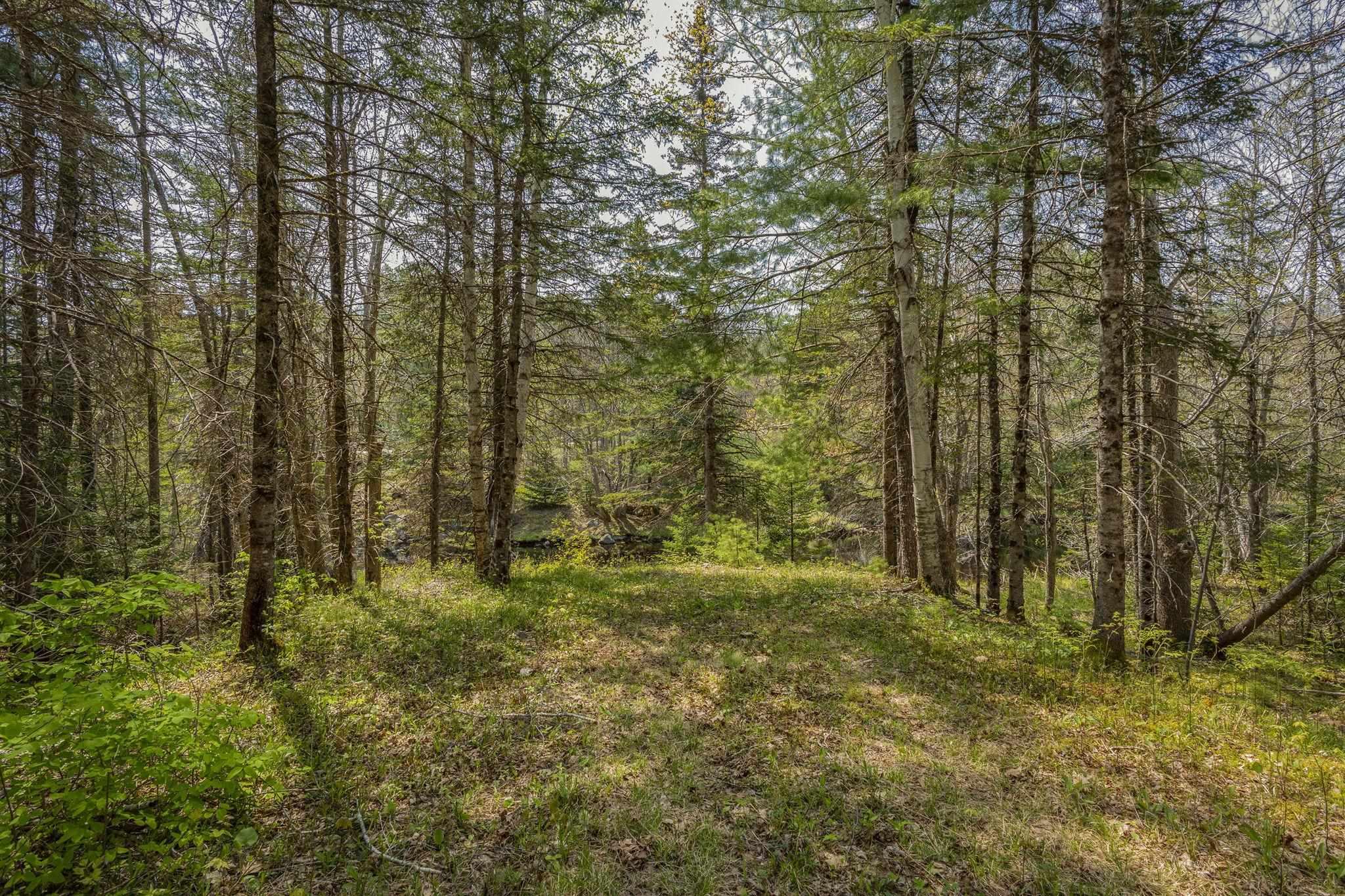$45,000.00: Mickey Hill Loop, Graywood