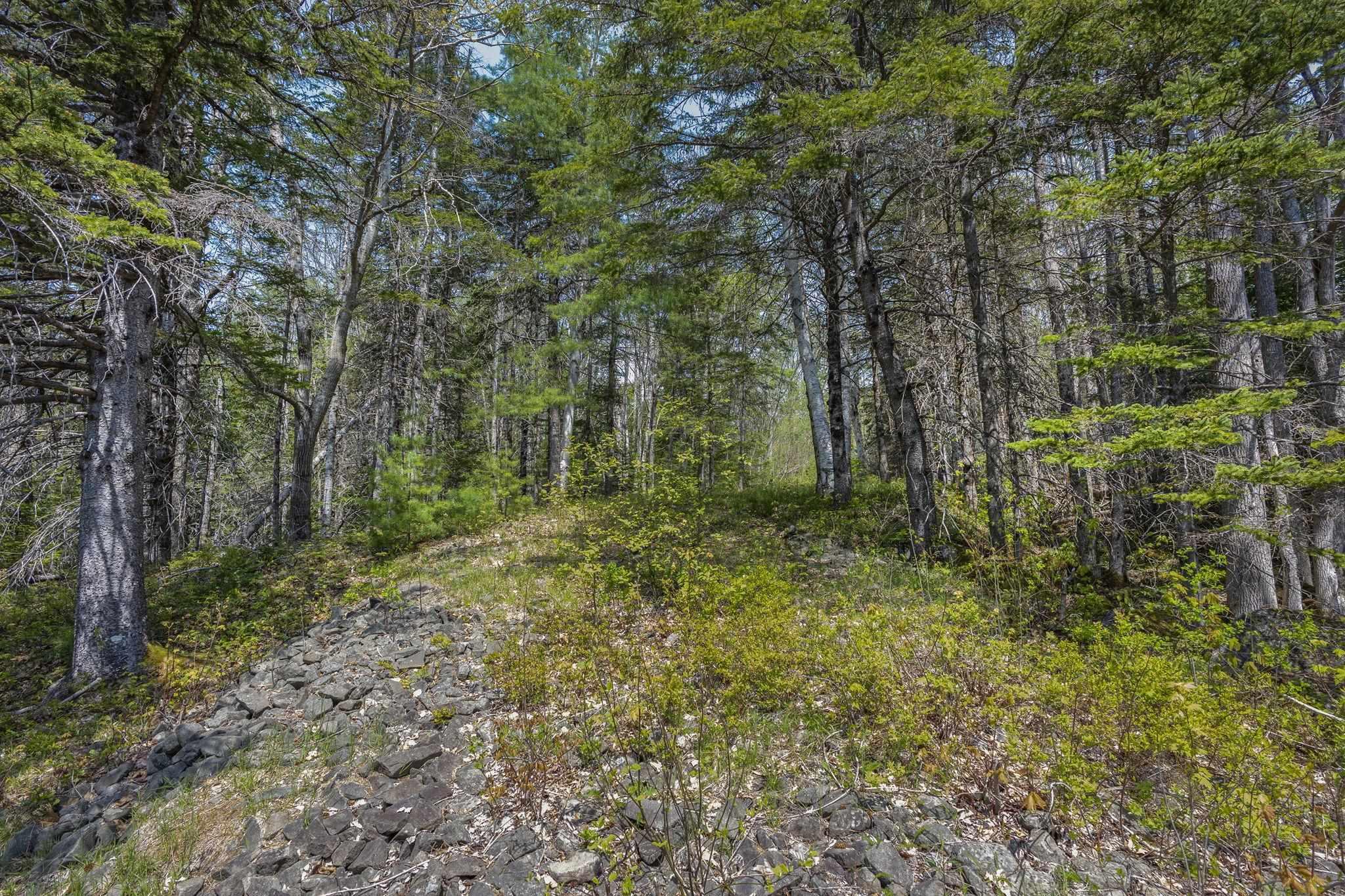 $45,000.00: Mickey Hill Loop, Graywood