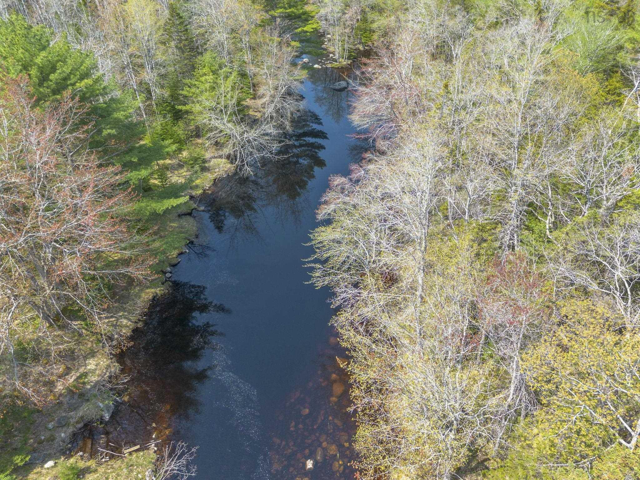 $45,000.00: Mickey Hill Loop, Graywood