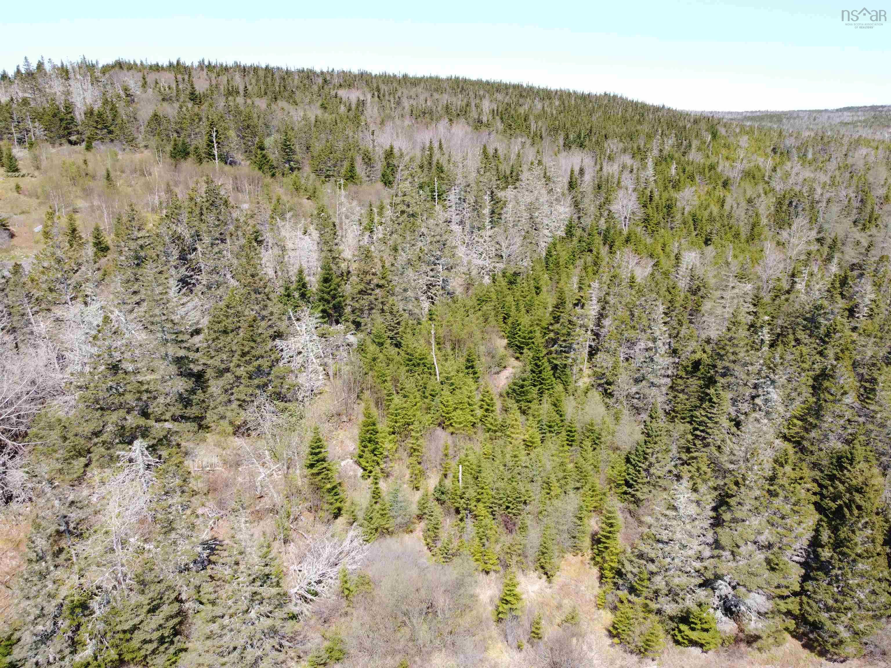 $39,900.00: Cemetery Road, Spry Harbour