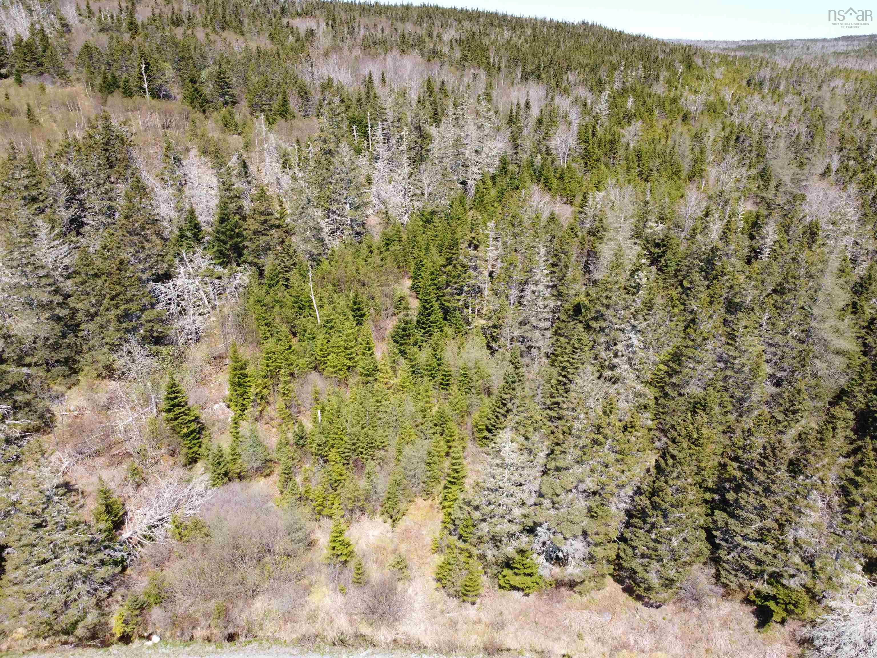 $39,900.00: Cemetery Road, Spry Harbour