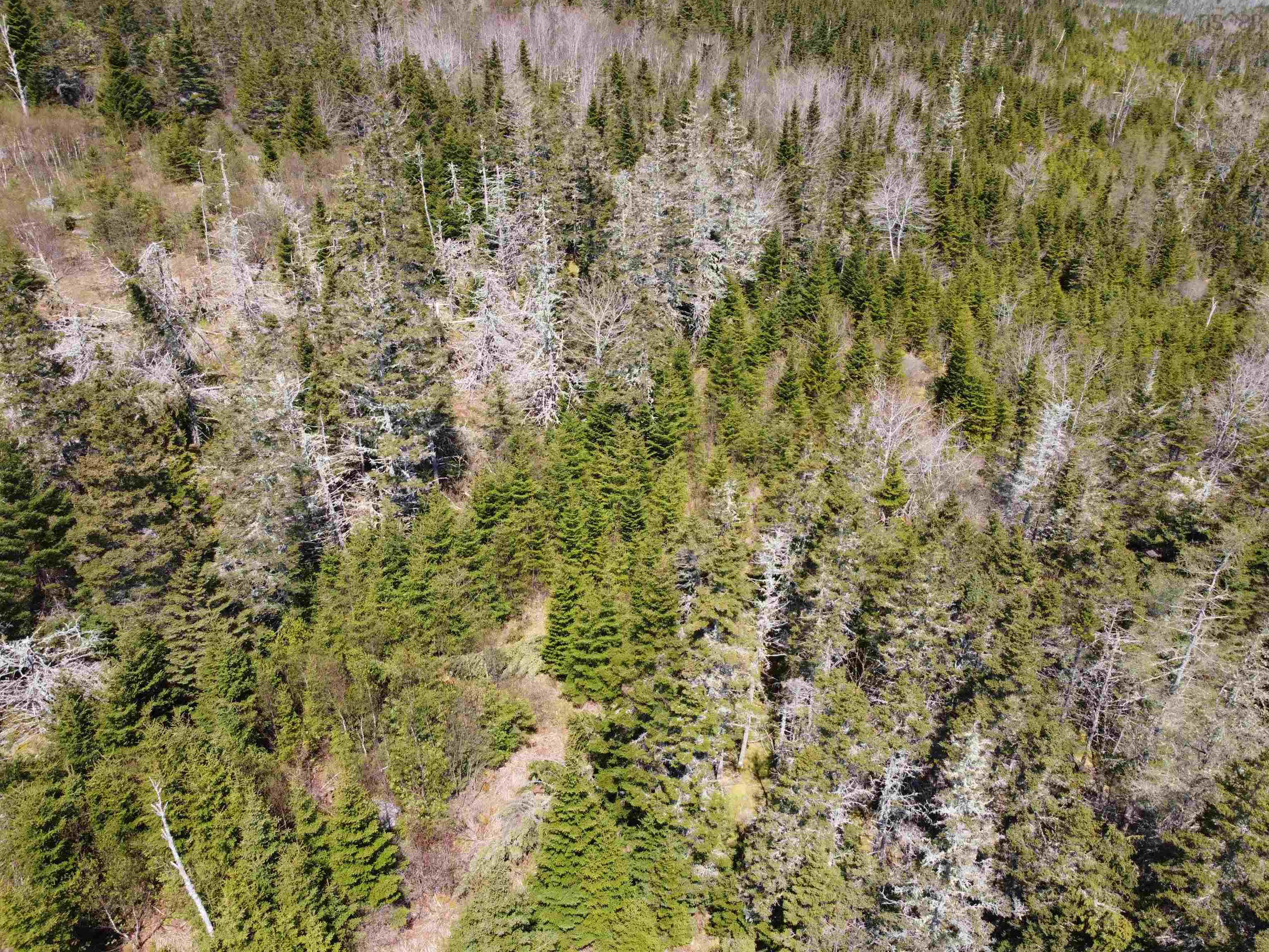 $39,900.00: Cemetery Road, Spry Harbour