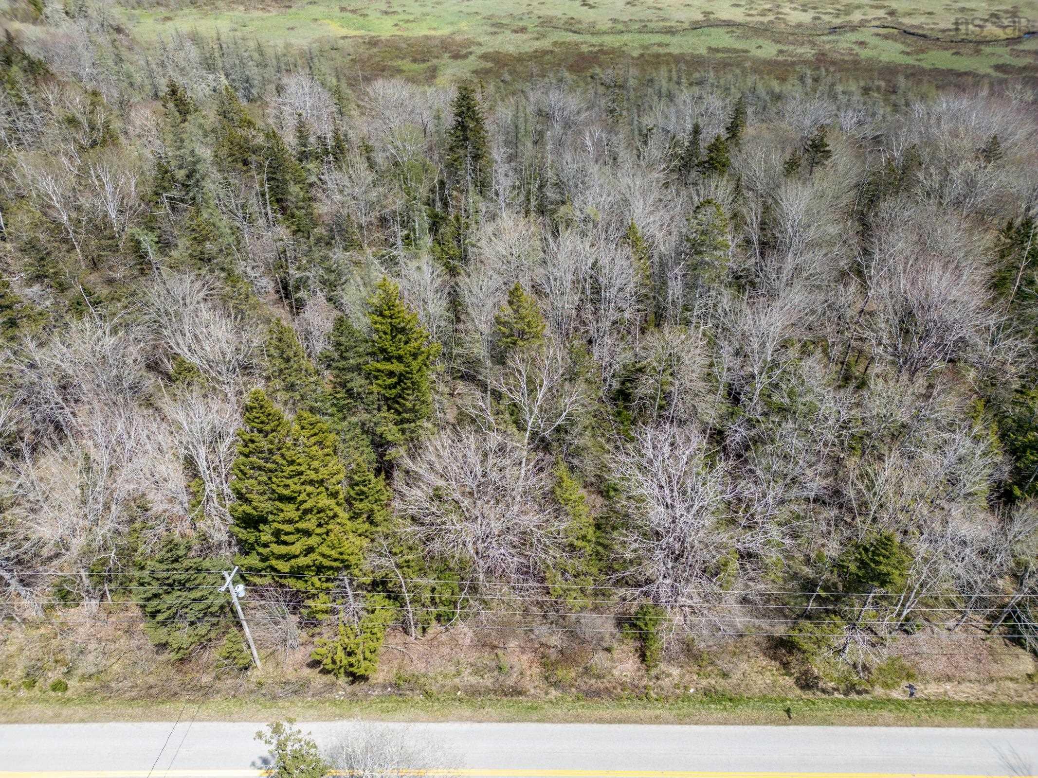 $29,000.00: Lot Bloomfield Road, Pleasant Valley