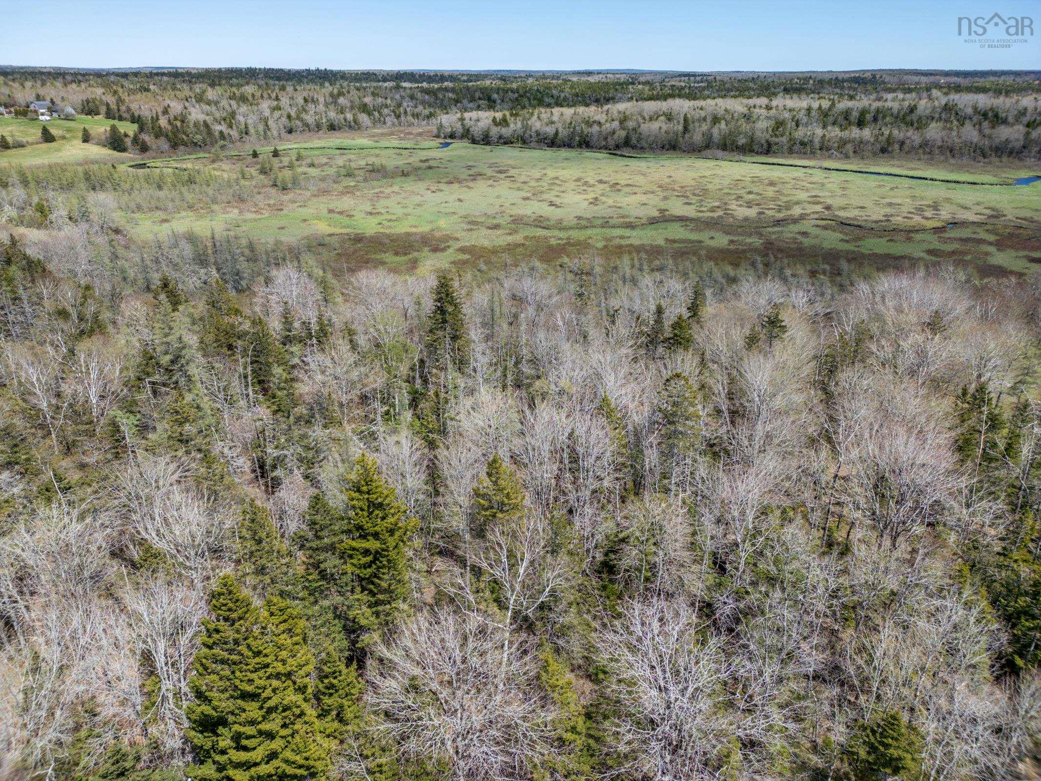 $29,000.00: Lot Bloomfield Road, Pleasant Valley