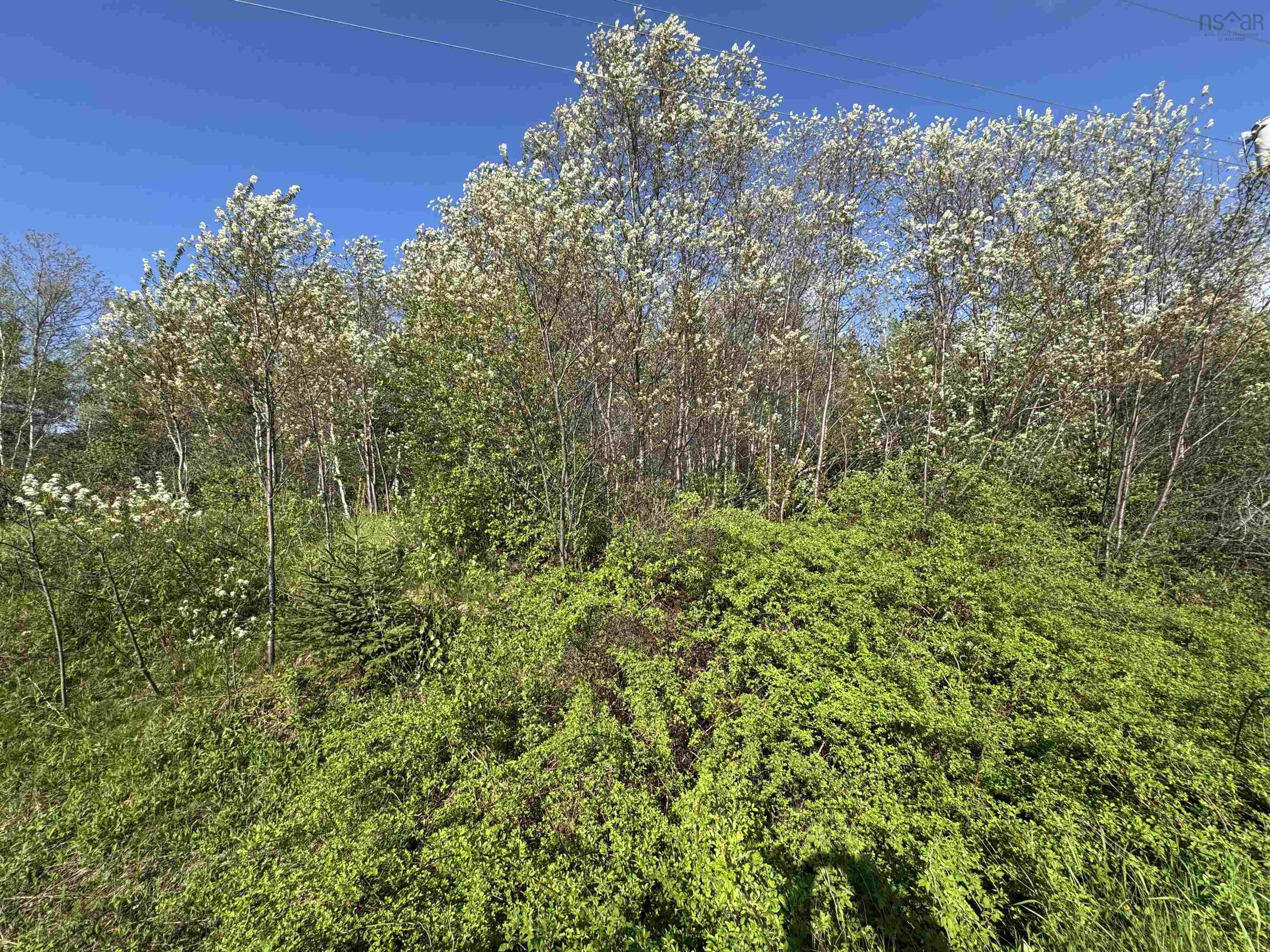 $35,000.00: Lot 06-18 Pictou Landing Road, Pictou Landing