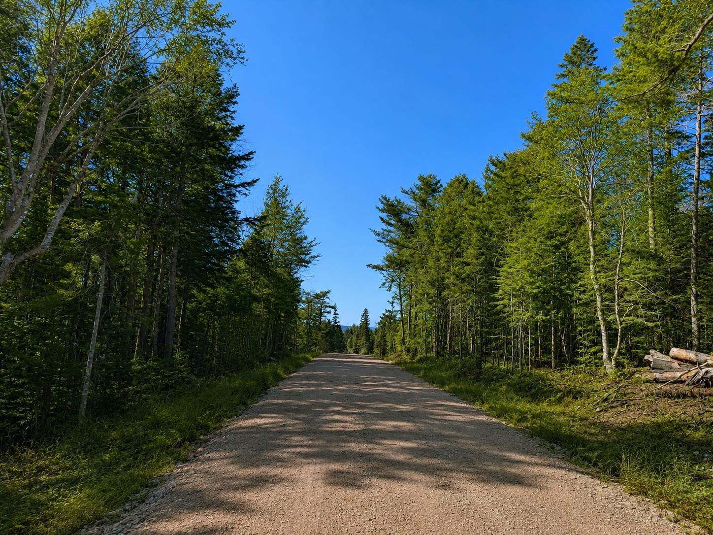 $199,000.00: Lot 16 Redbird Drive, Malagawatch