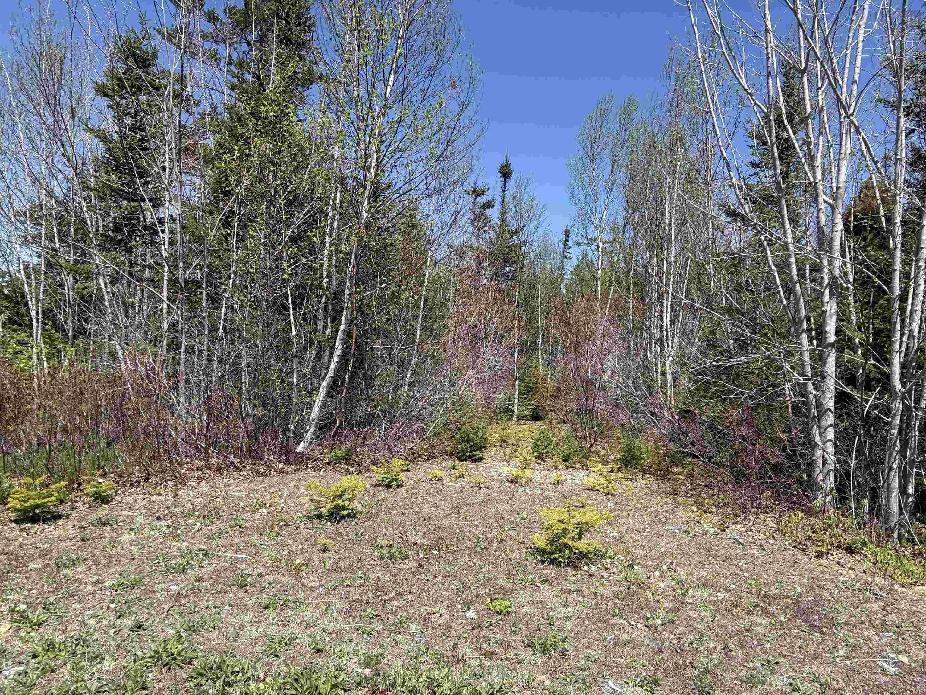 $84,900.00: Lot 22 Marble Mountain Road Road, South Side River Denys